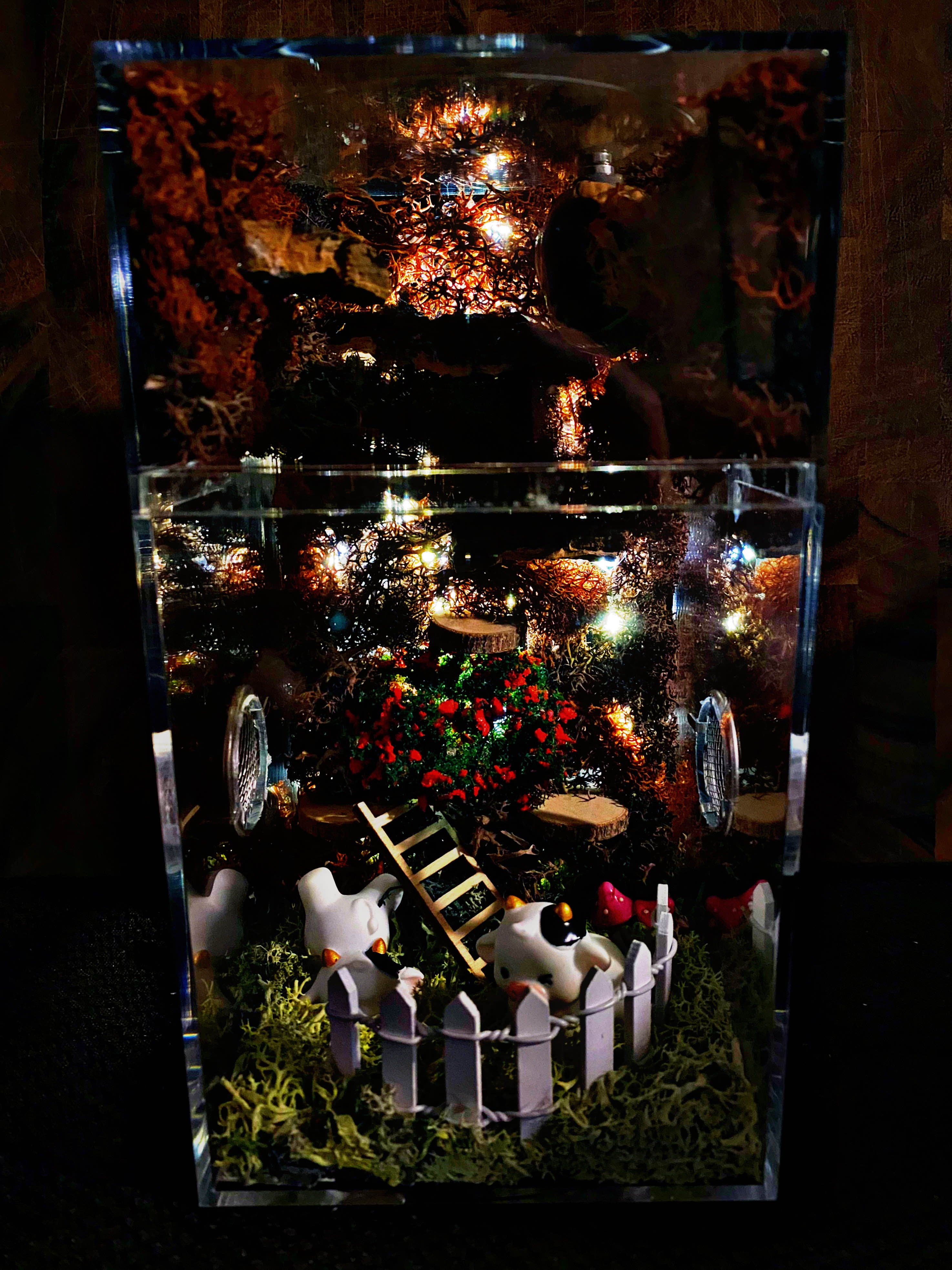 Custom Fairy Light Jumping Spider Enclosure