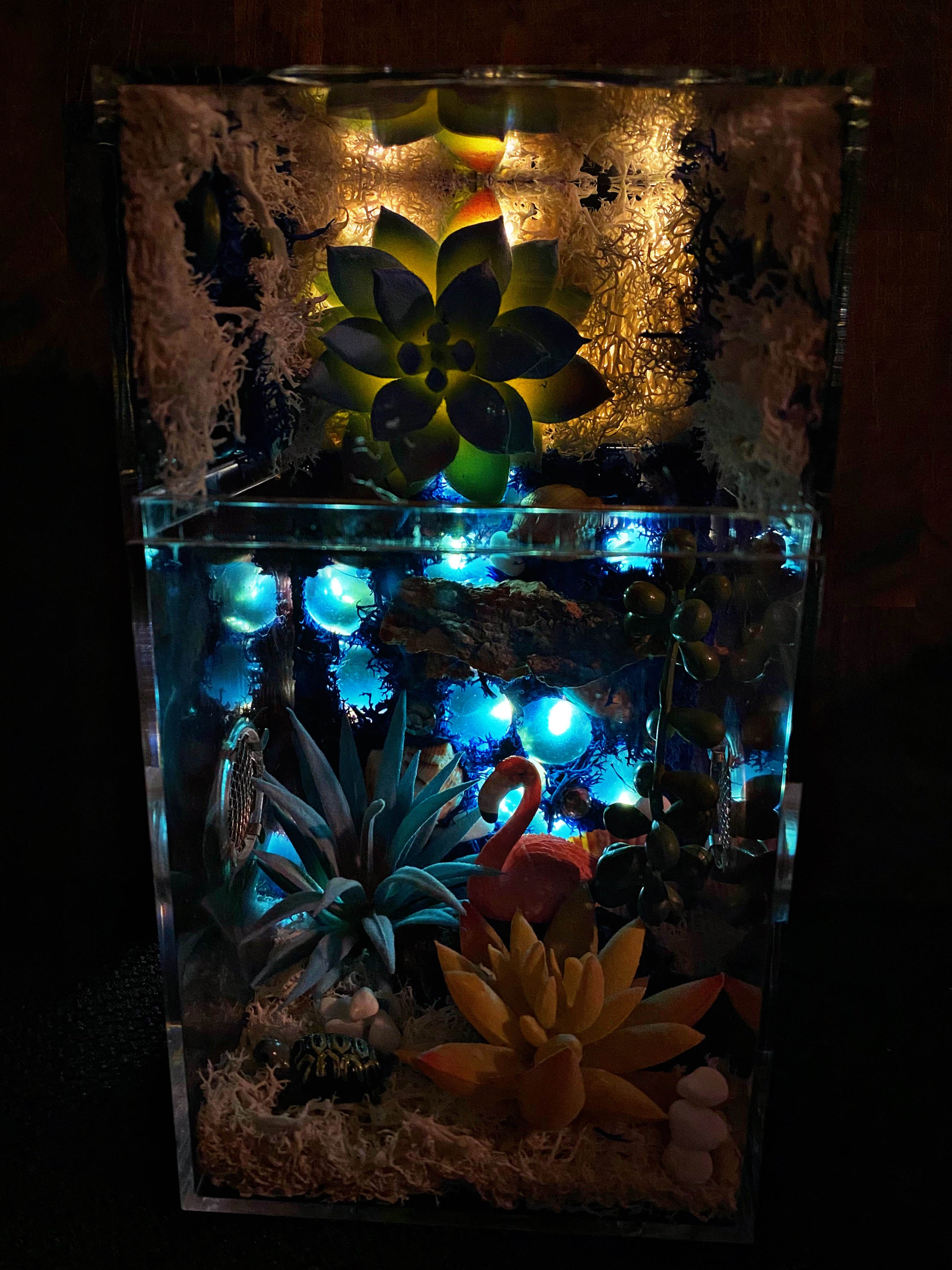 Custom Jumping Spider Enclosure For Sale