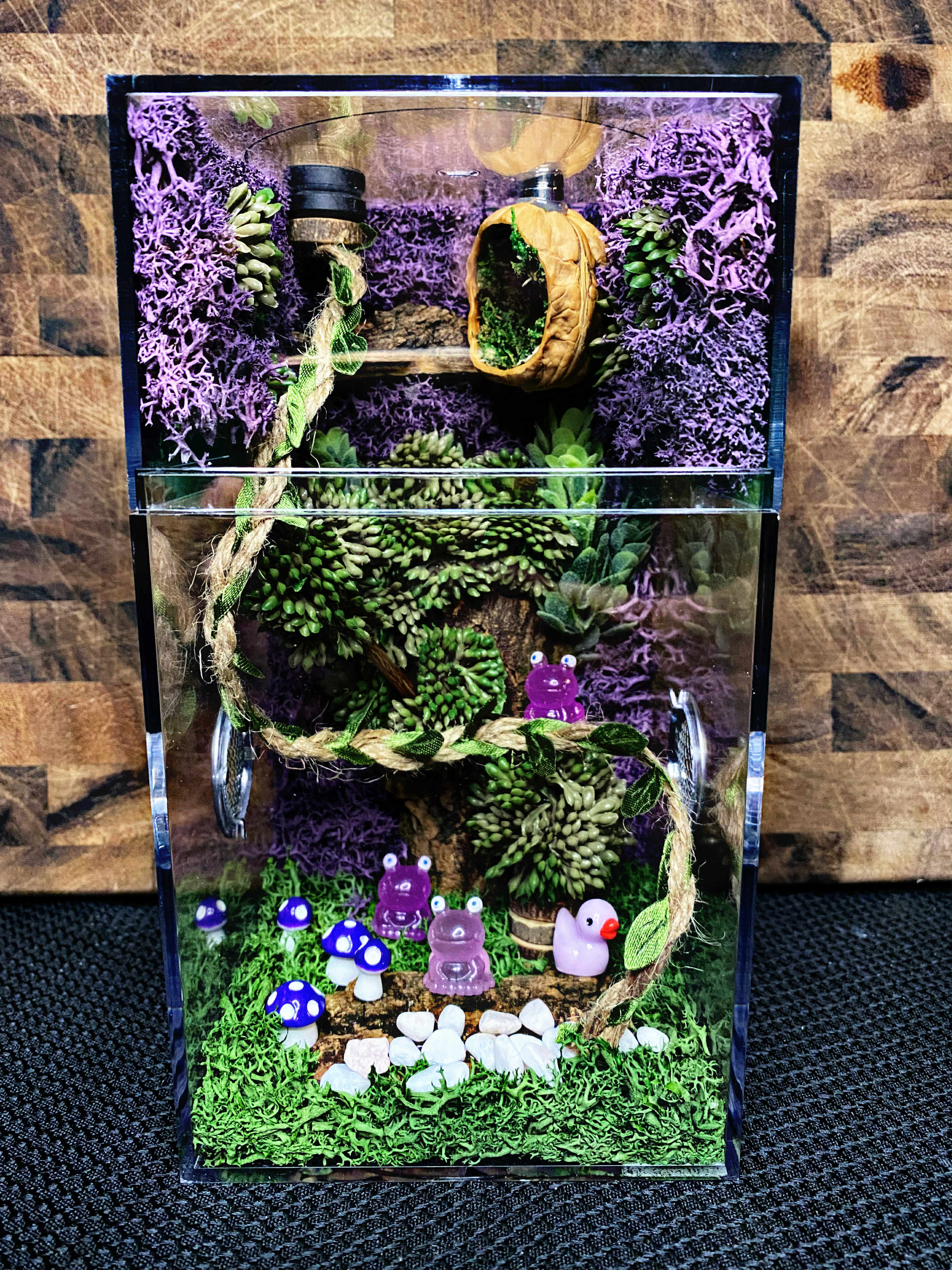 Custom Jumping Spider Enclosure
