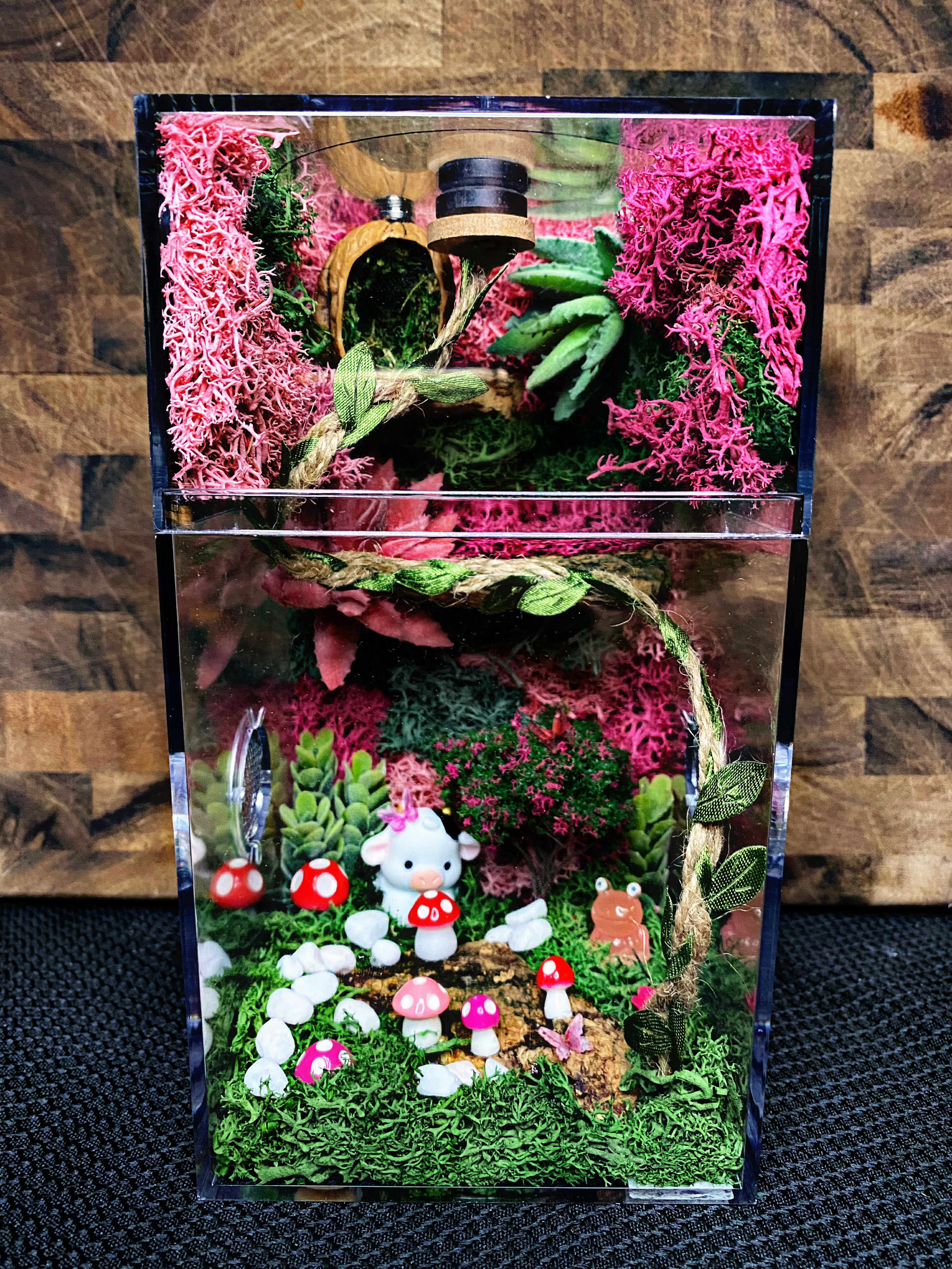 Custom Jumping Spider Enclosure