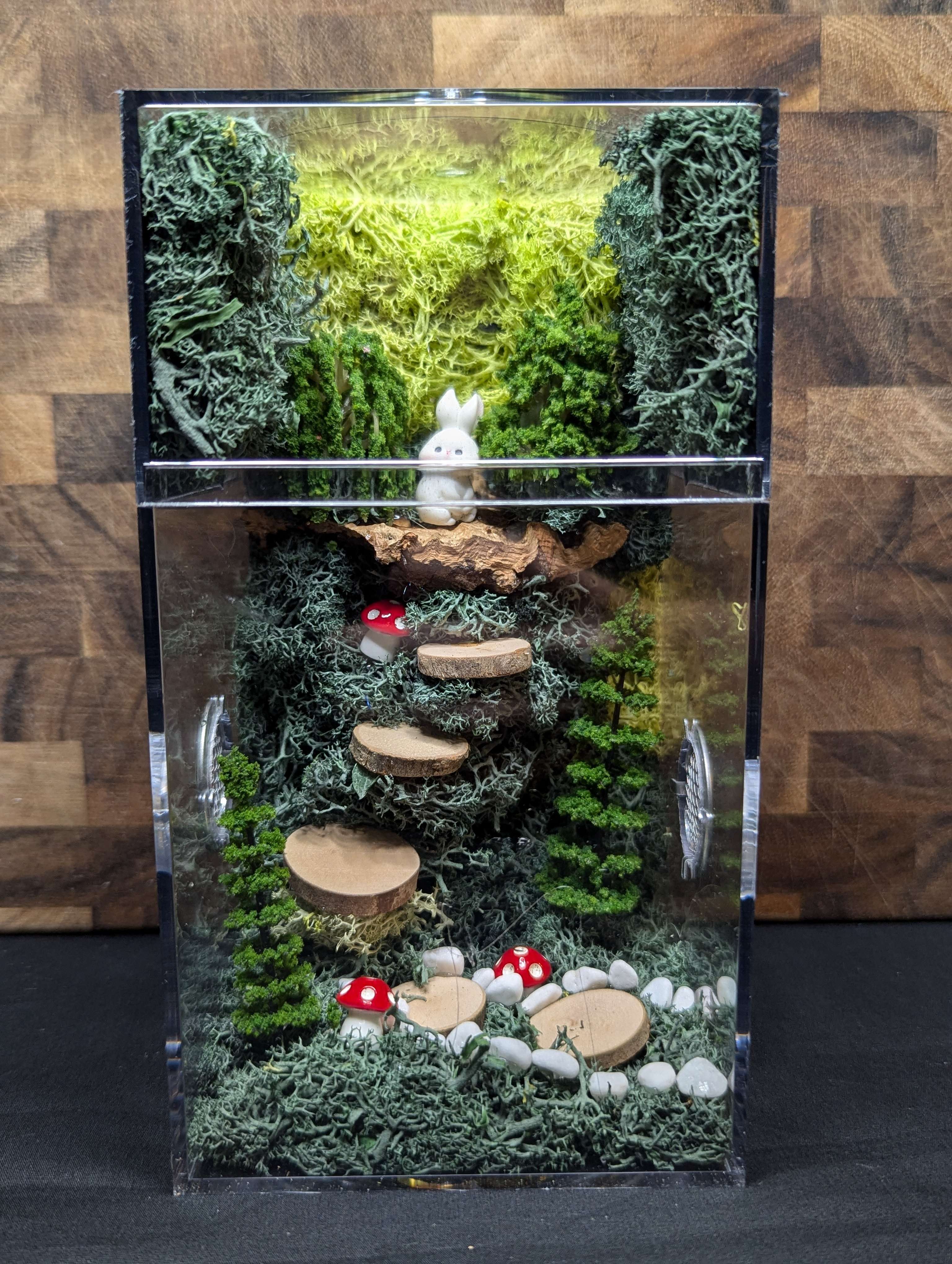 Custom Jumping Spider Enclosure