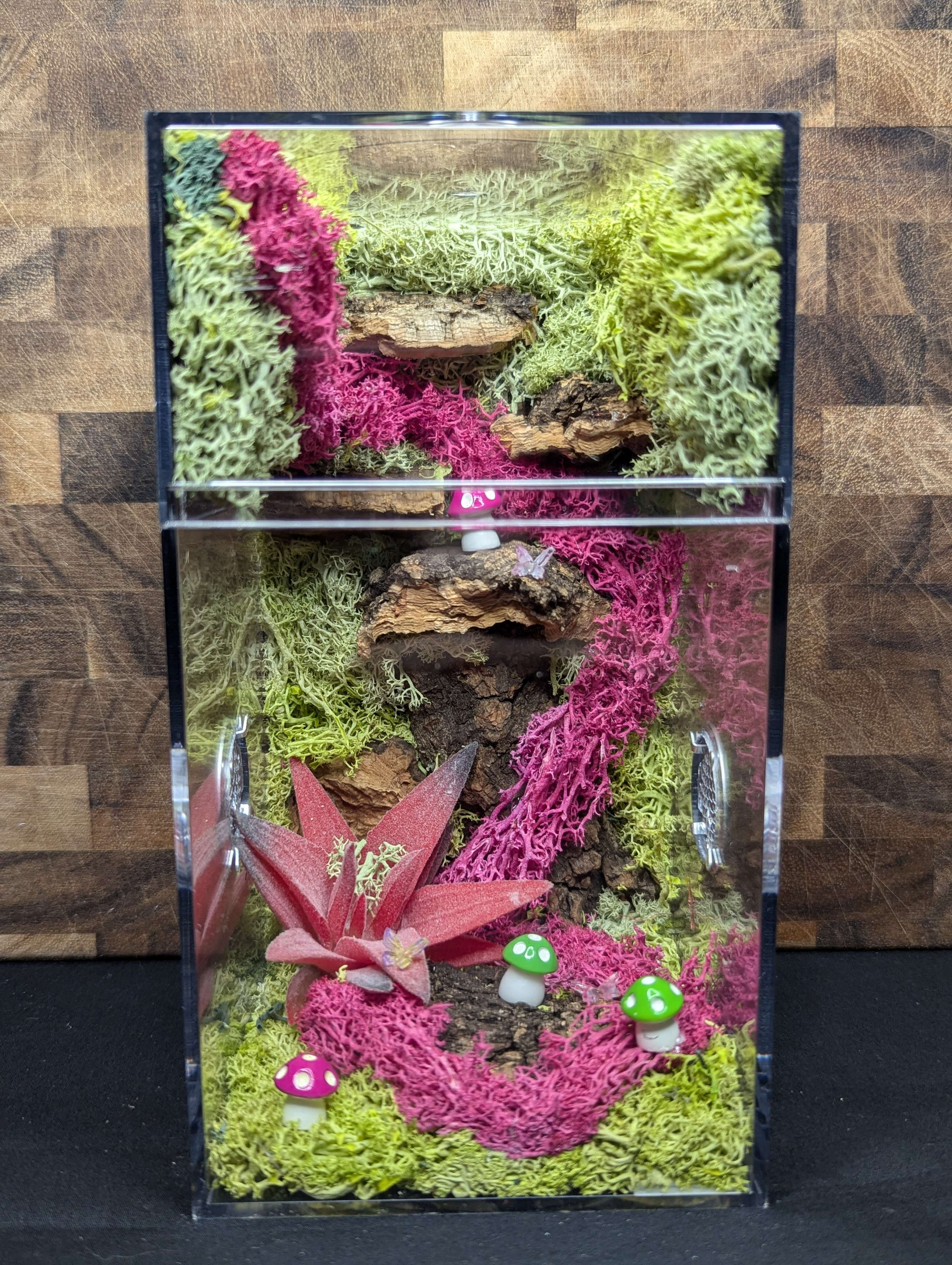 Custom Jumping Spider Enclosure
