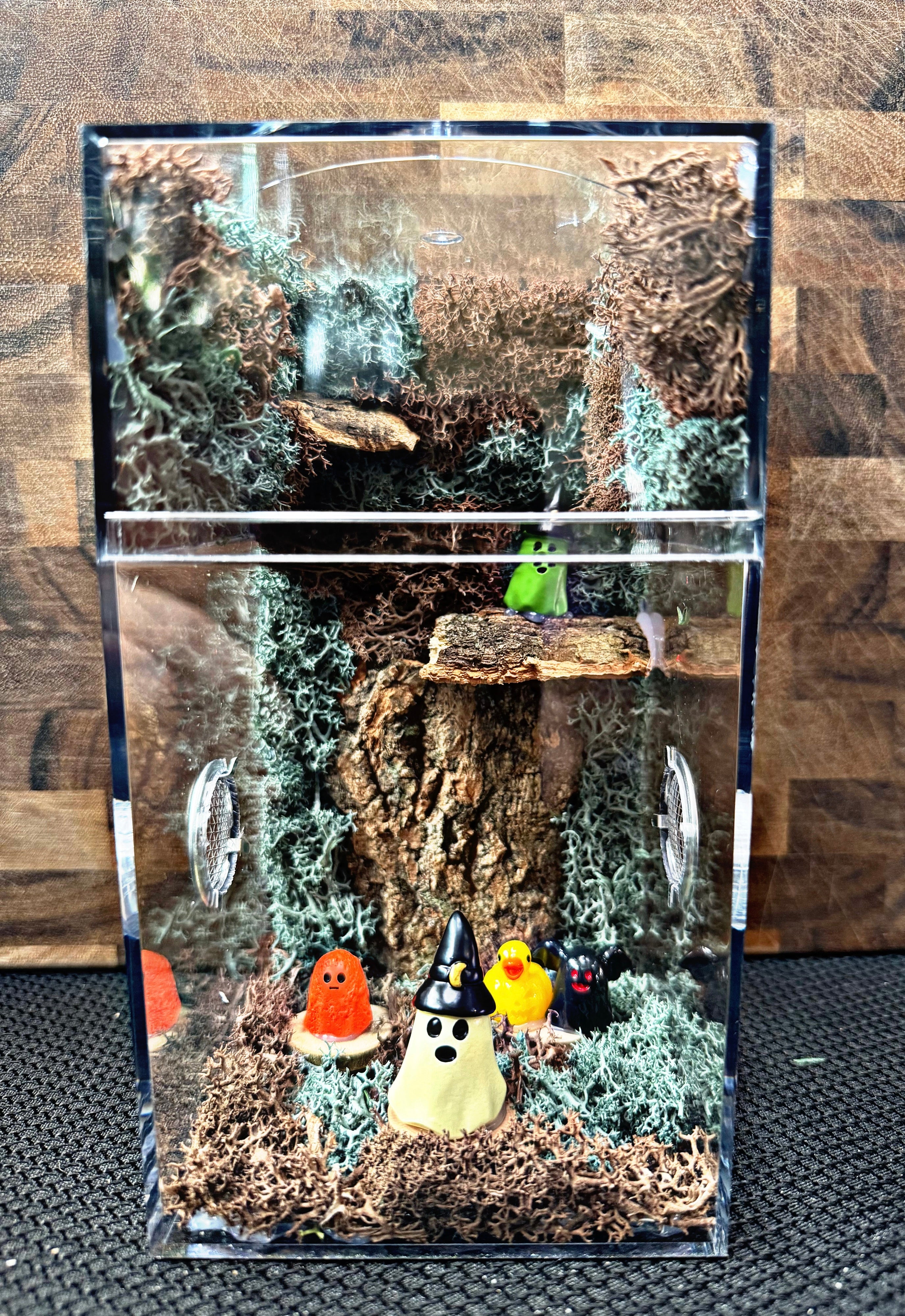 Custom Jumping Spider Enclosure