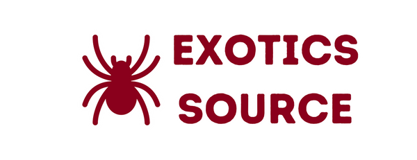 Open search Open account page Open cart