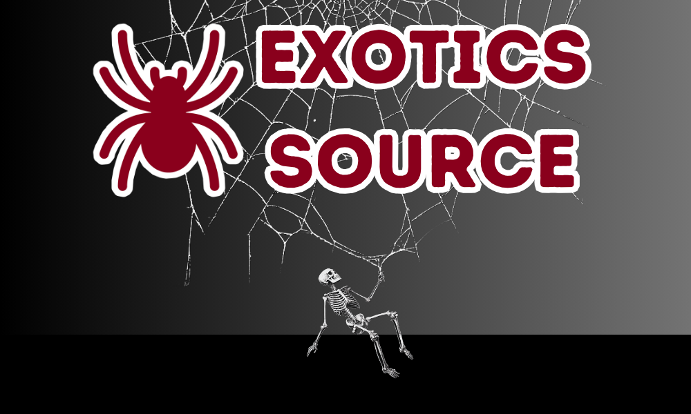 Exotics Source Newsletter Popup Image