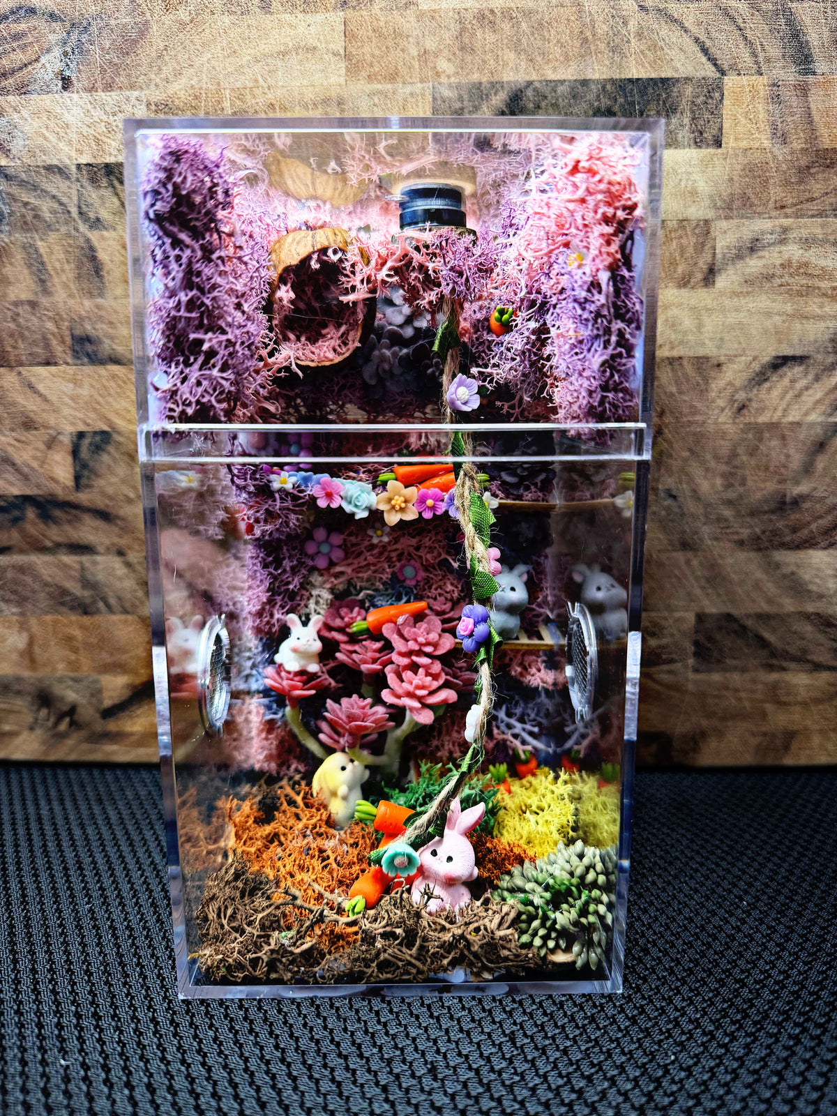 Custom Jumping Spider Enclosure