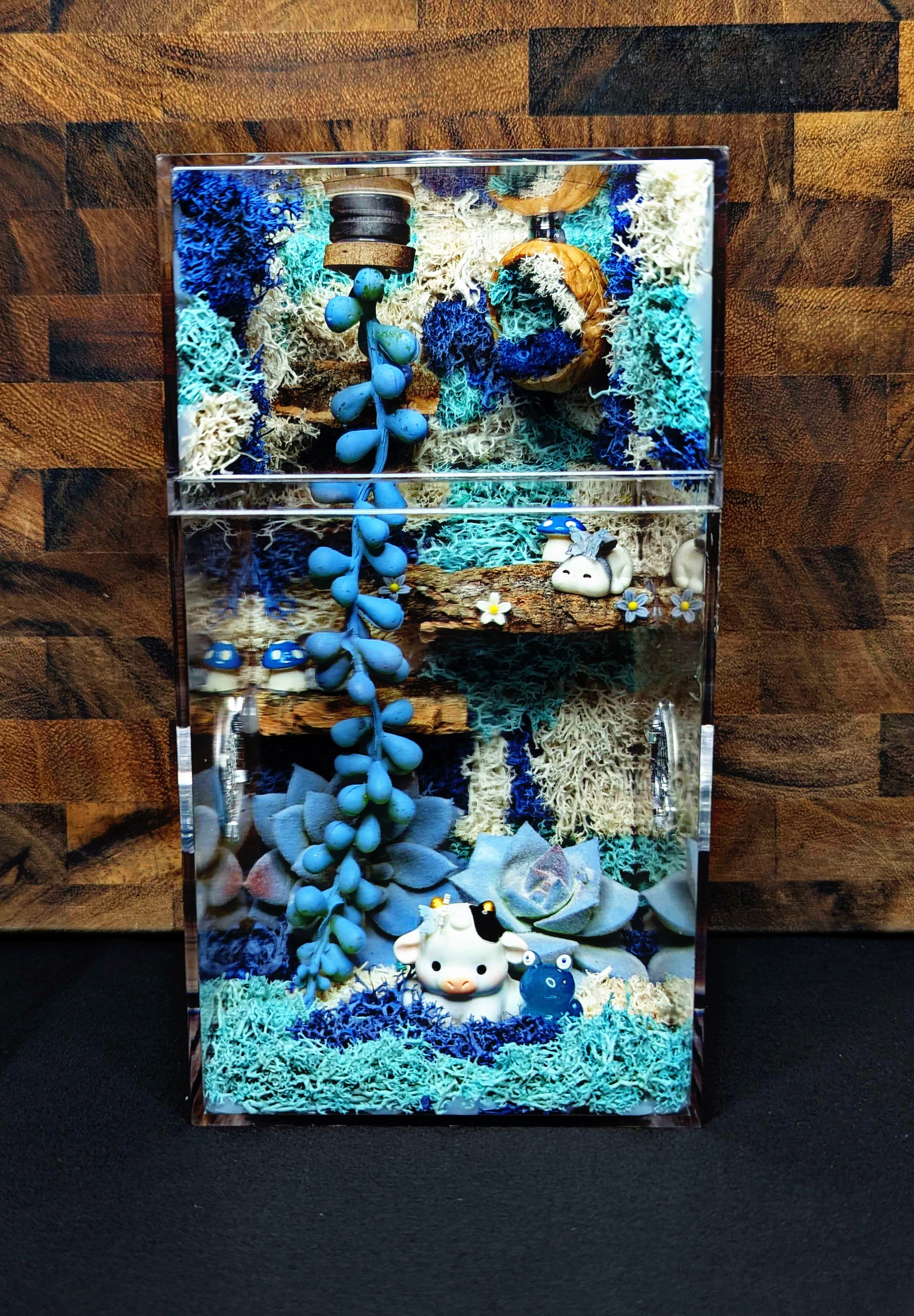 Custom Jumping Spider Enclosure