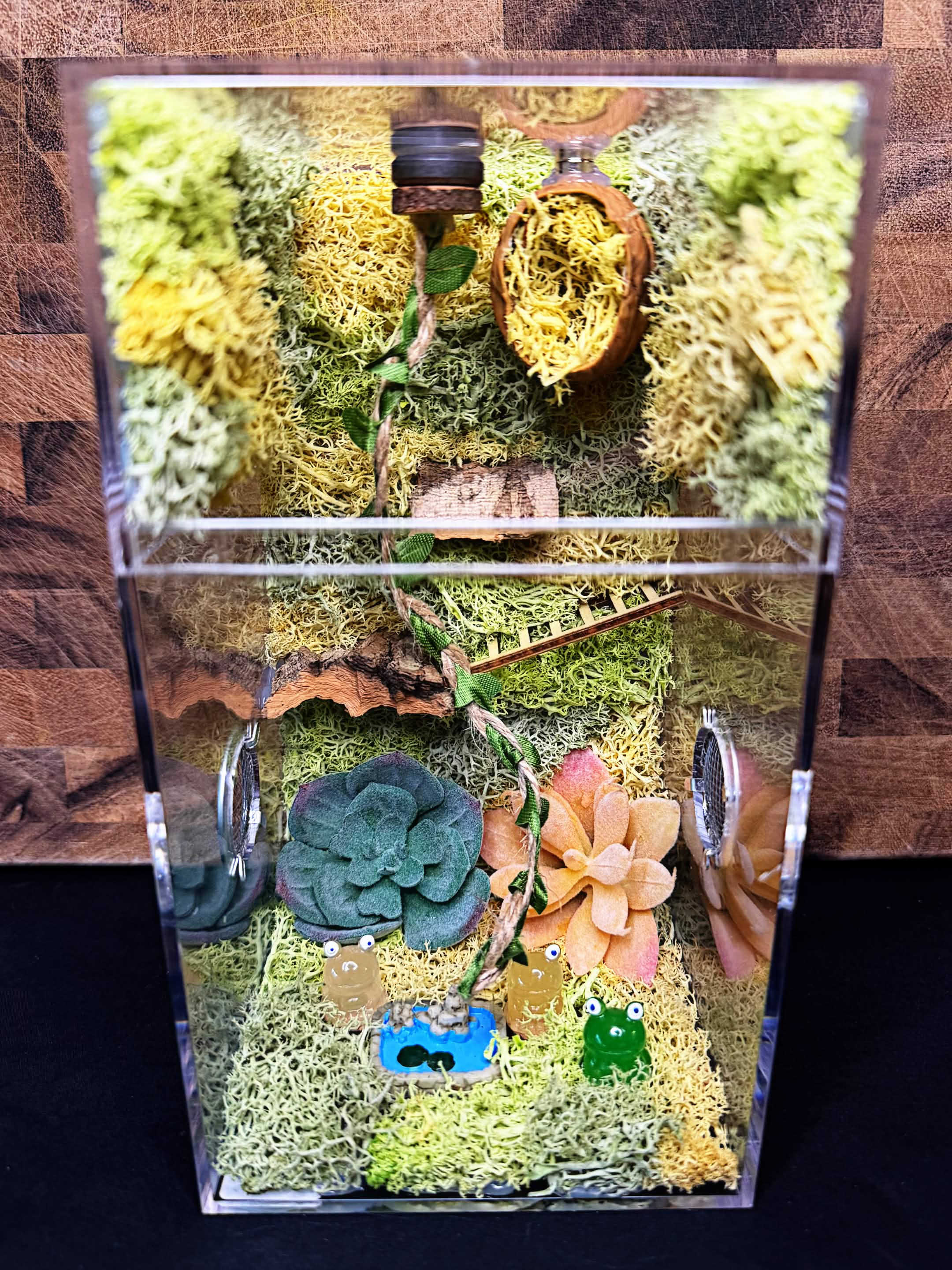 Custom Jumping Spider Enclosure