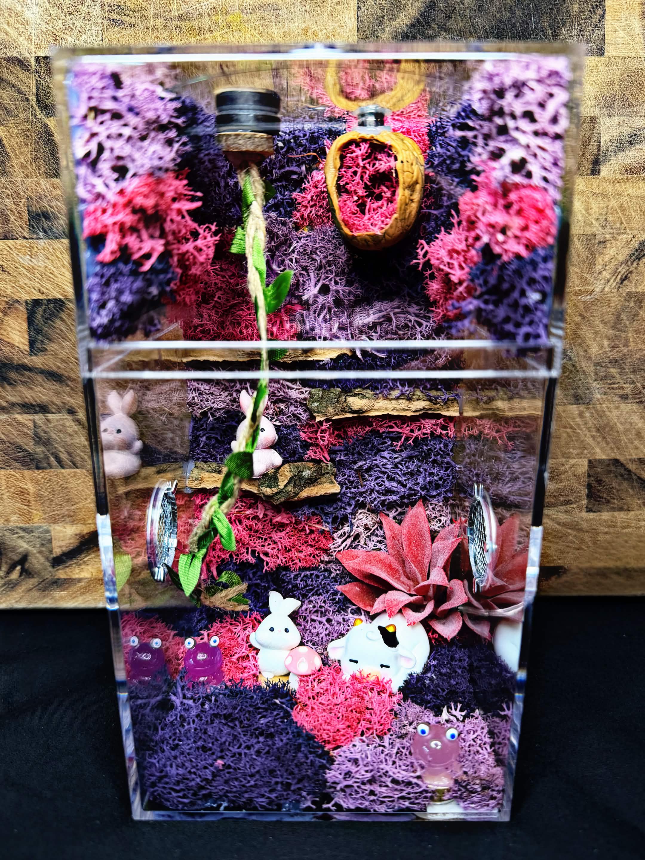 ~Fairy Lights~ Custom Jumping Spider Enclosure