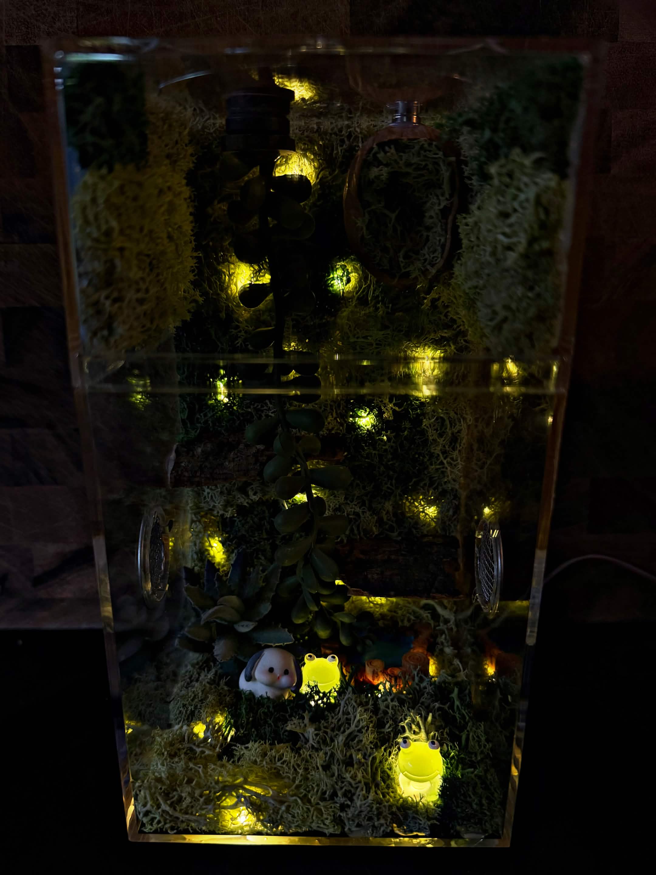 ~Fairy Lights~ Custom Jumping Spider Enclosure