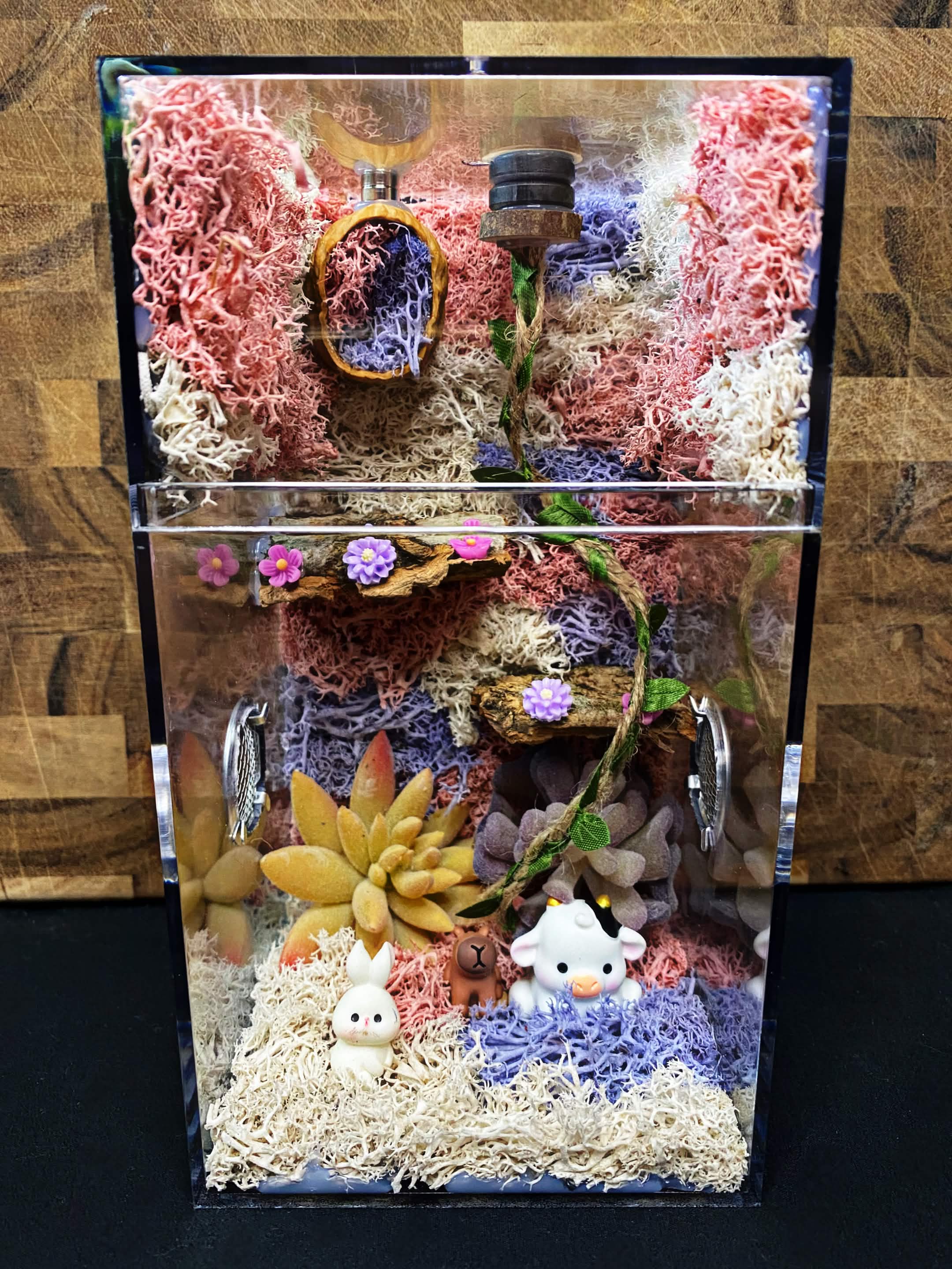 Custom Jumping Spider Enclosure