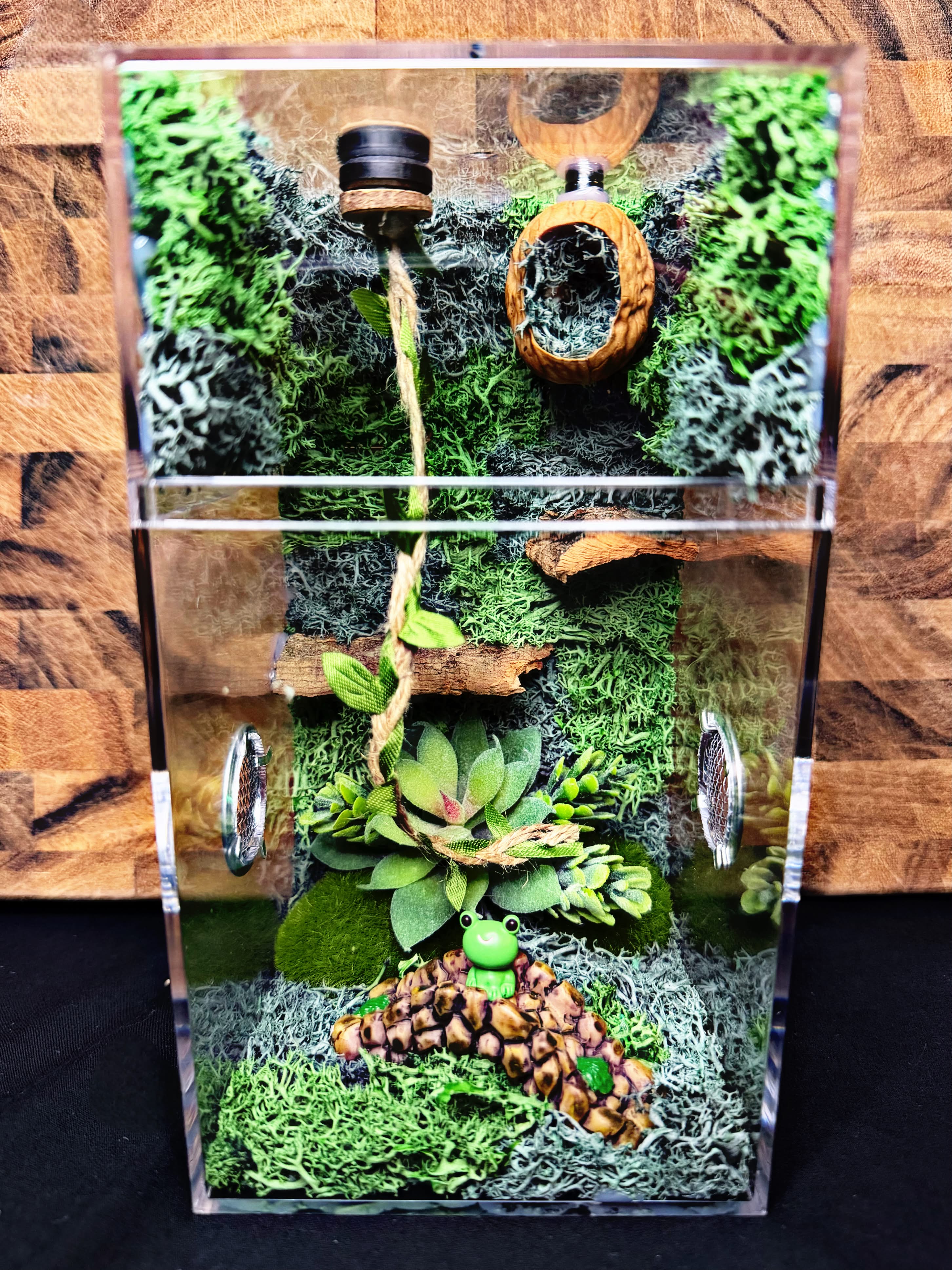 Custom Jumping Spider Enclosure