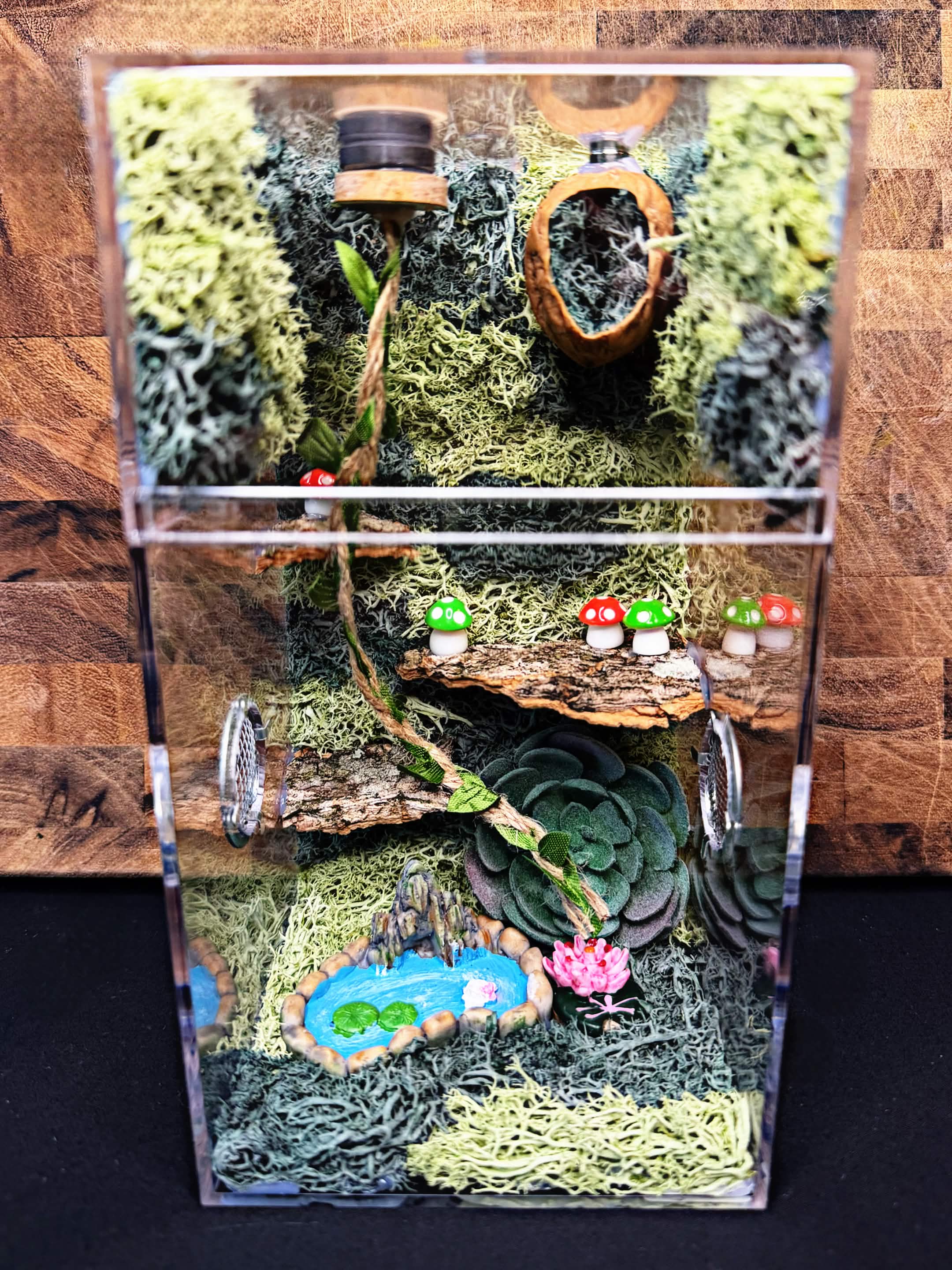 Custom Jumping Spider Enclosure