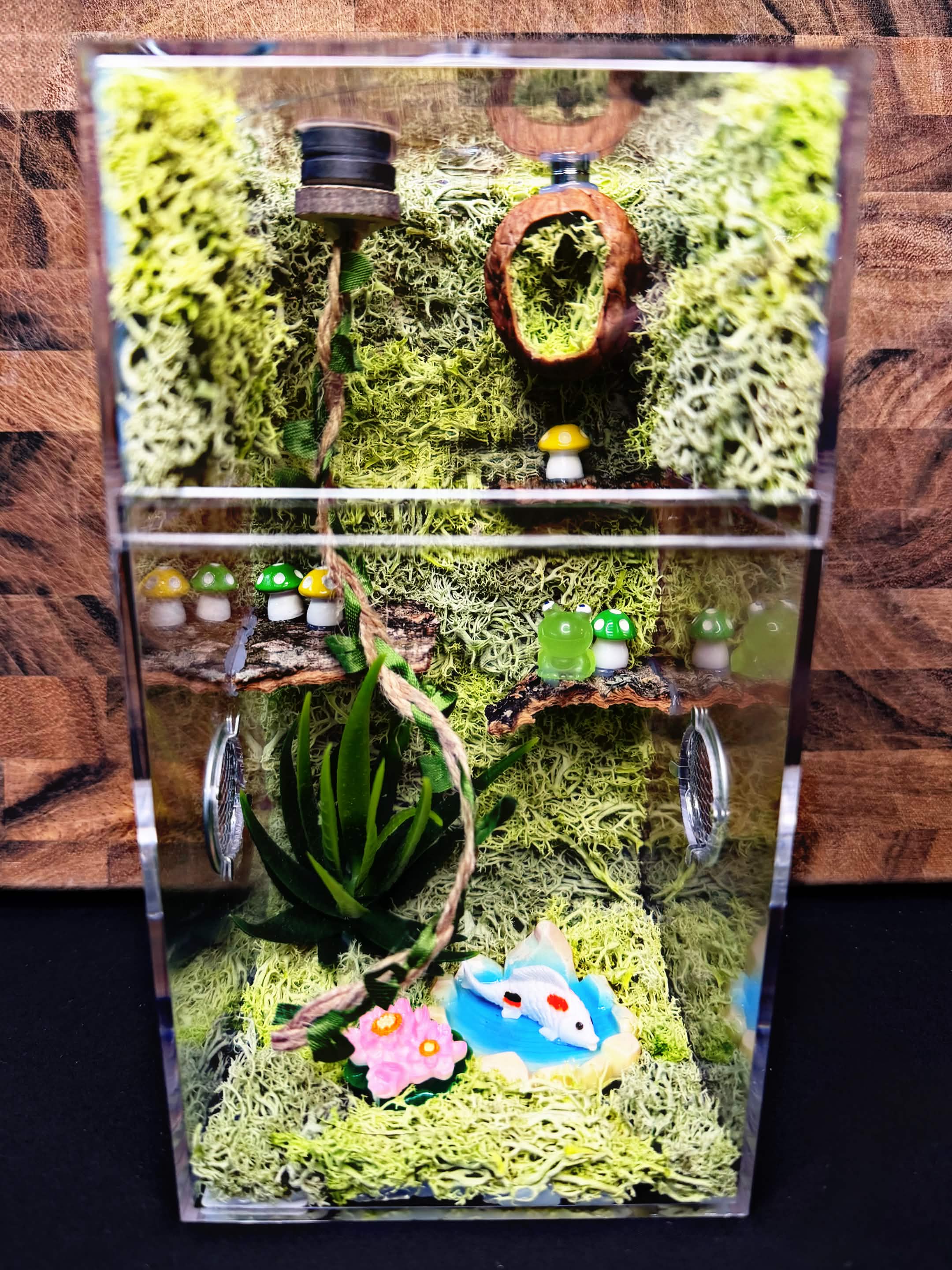 Custom Jumping Spider Enclosure