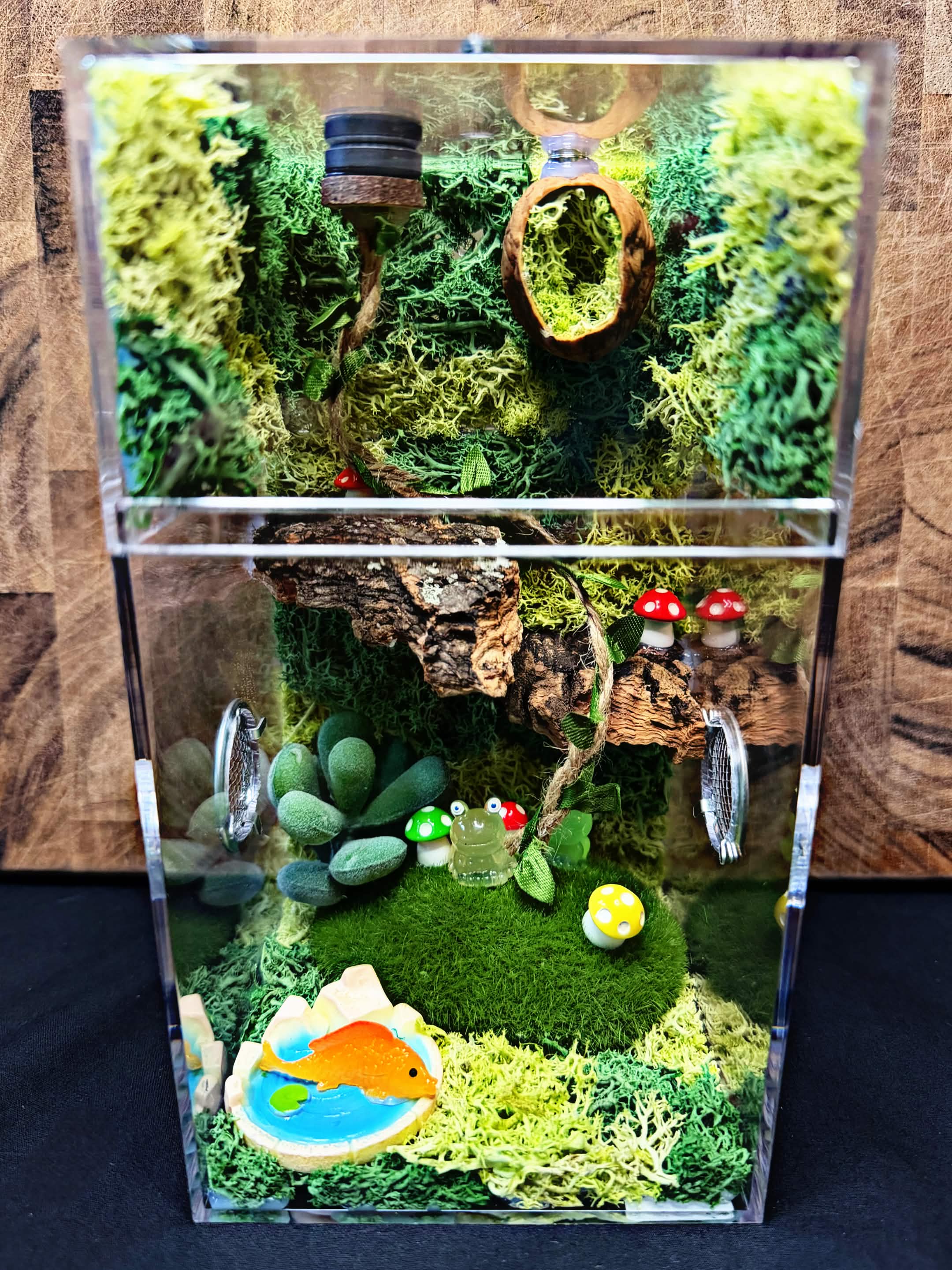 Custom Jumping Spider Enclosure