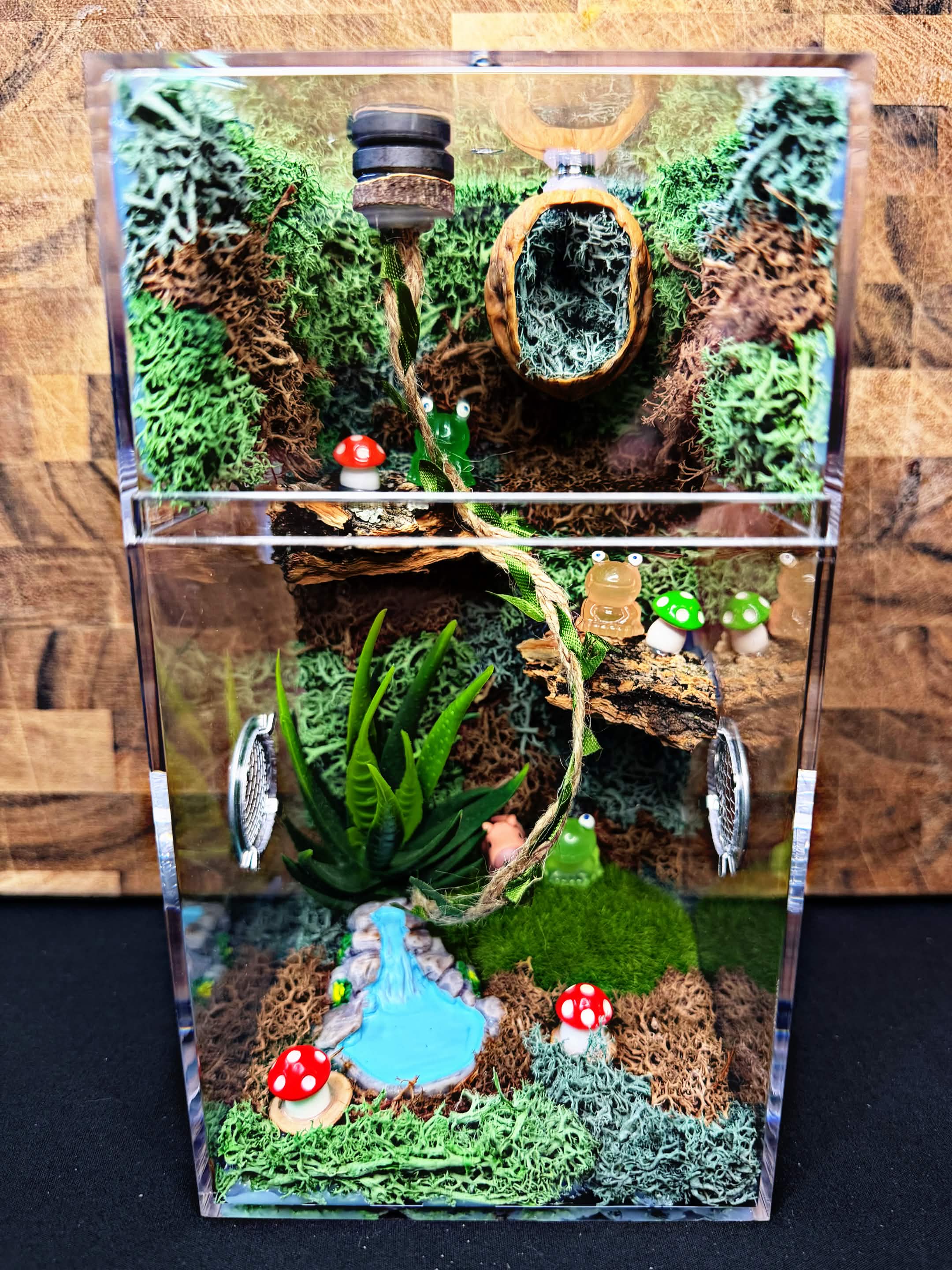 Custom Jumping Spider Enclosure