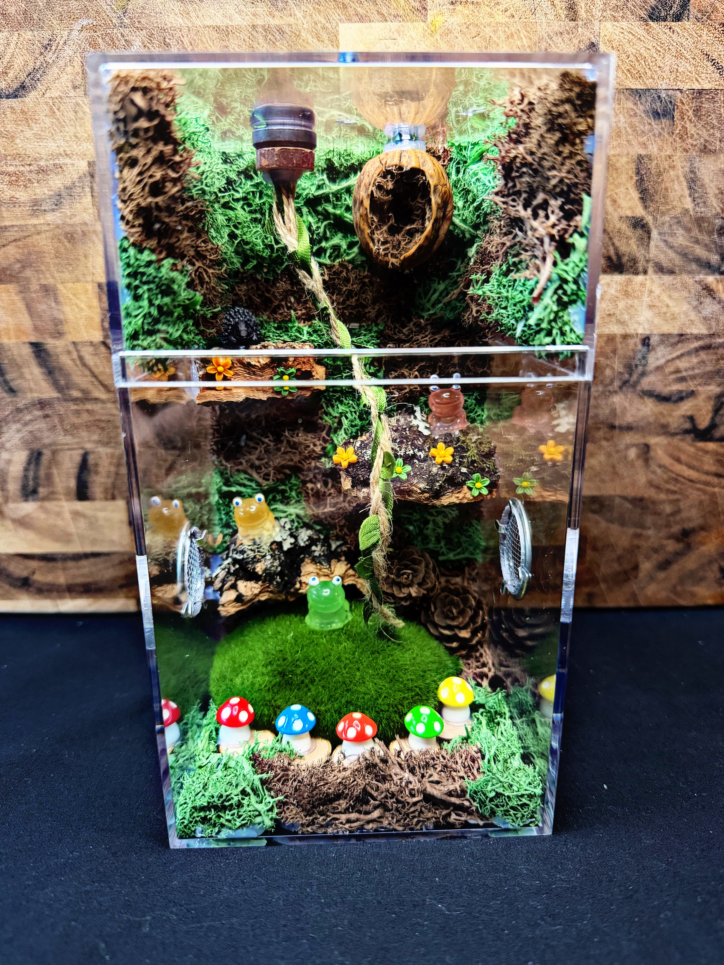 Custom Jumping Spider Enclosure