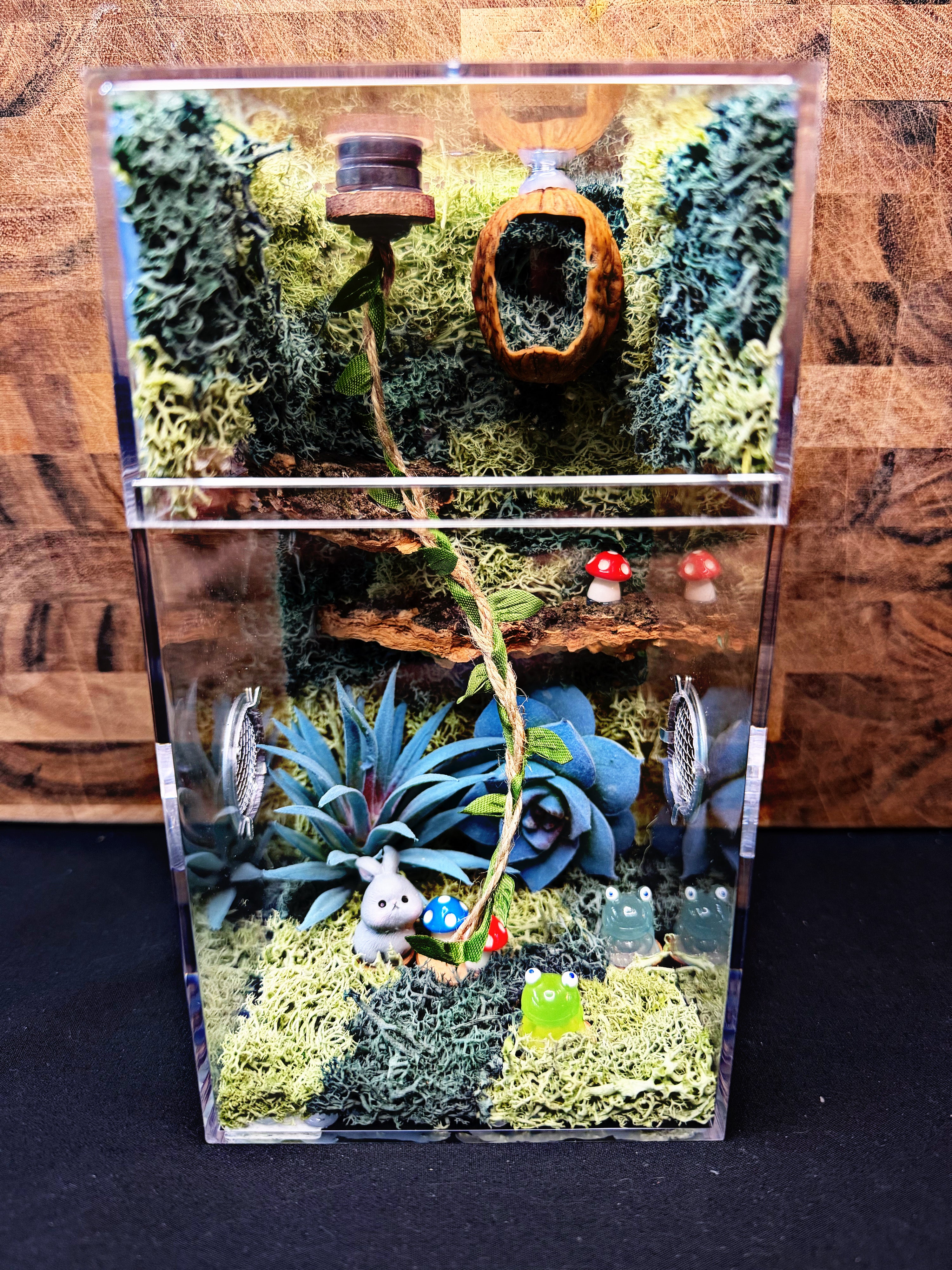 Custom Jumping Spider Enclosure