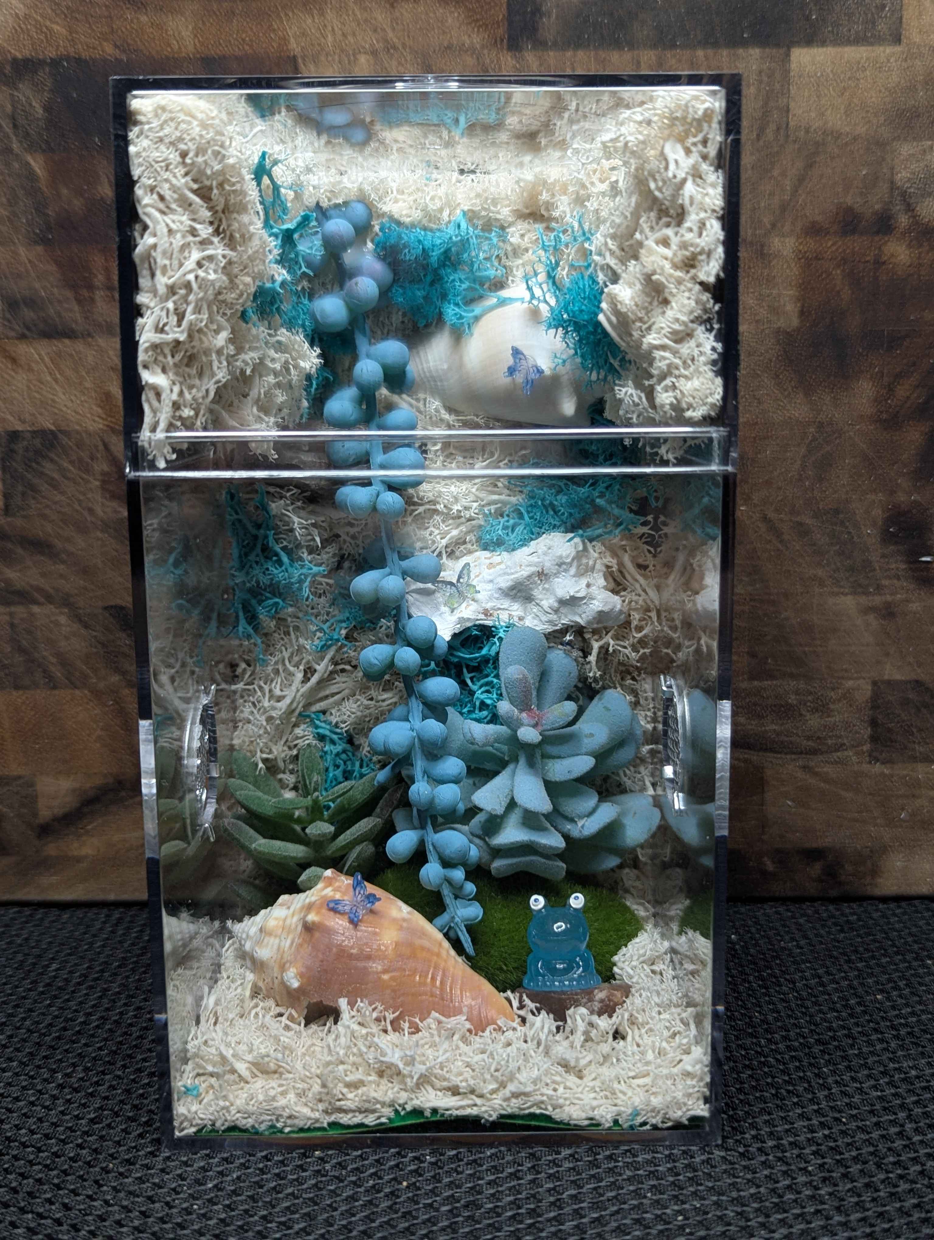 Custom Jumping Spider Enclosure