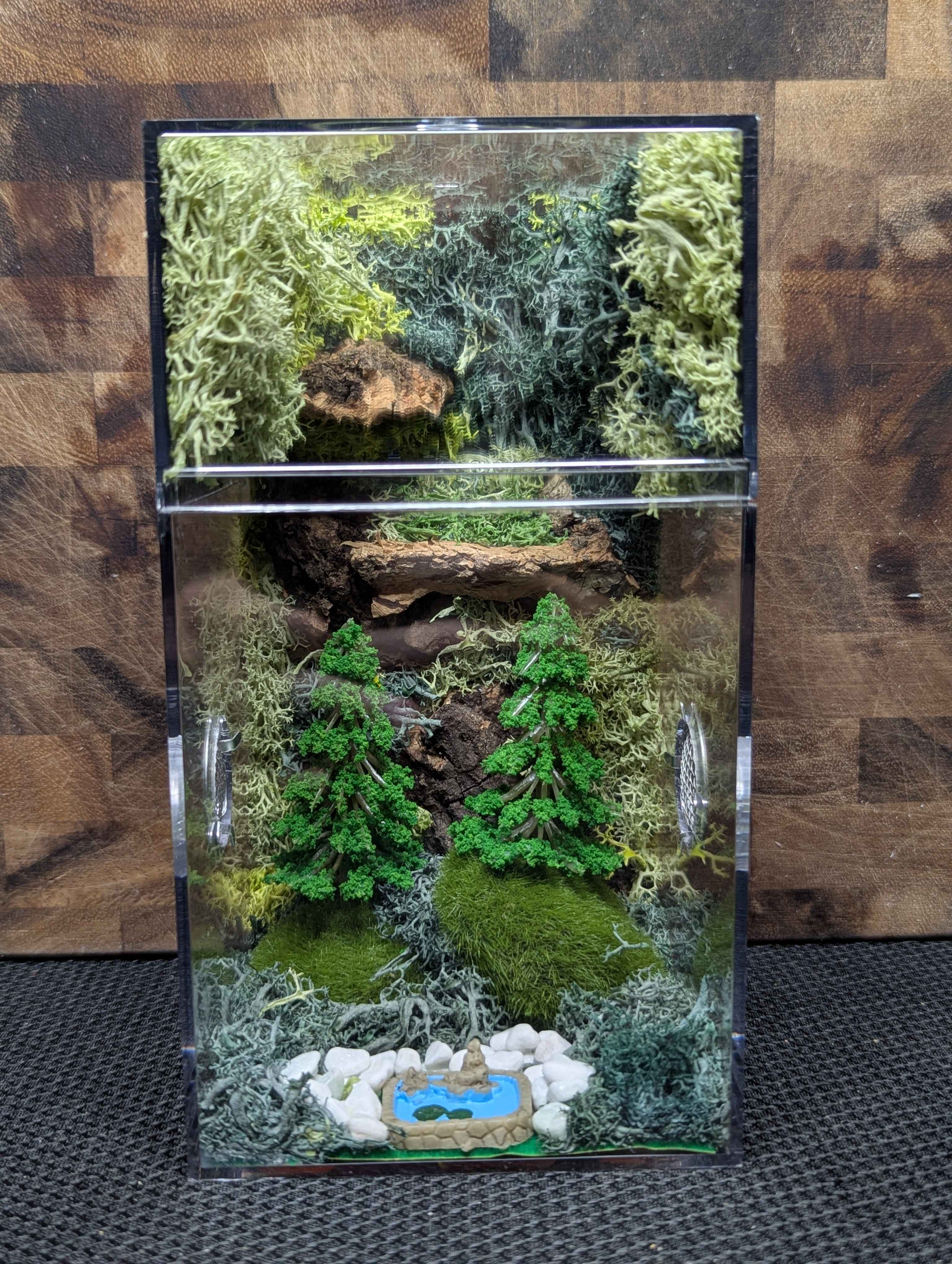 Custom Jumping Spider Enclosure
