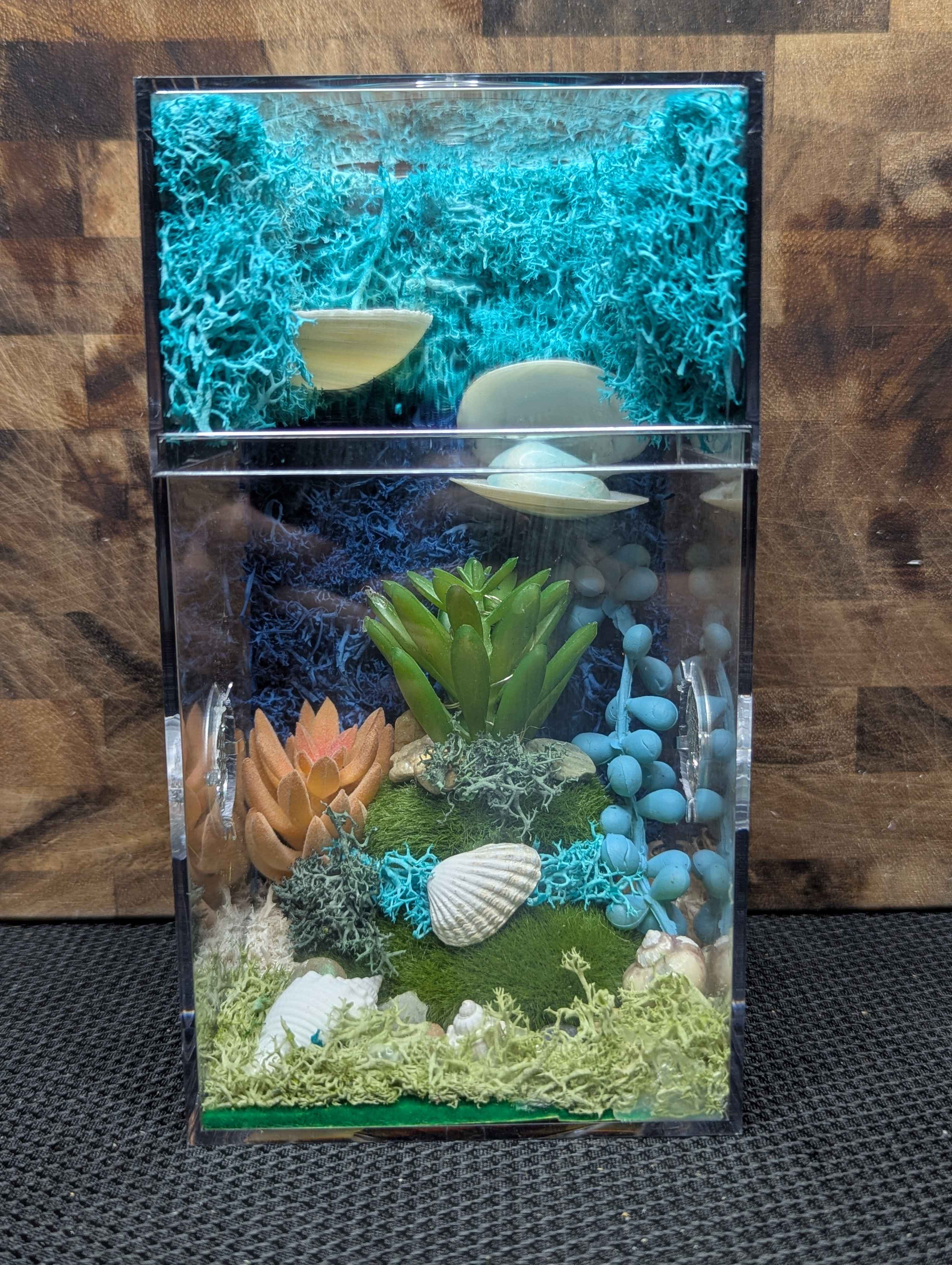 Custom Jumping Spider Enclosure
