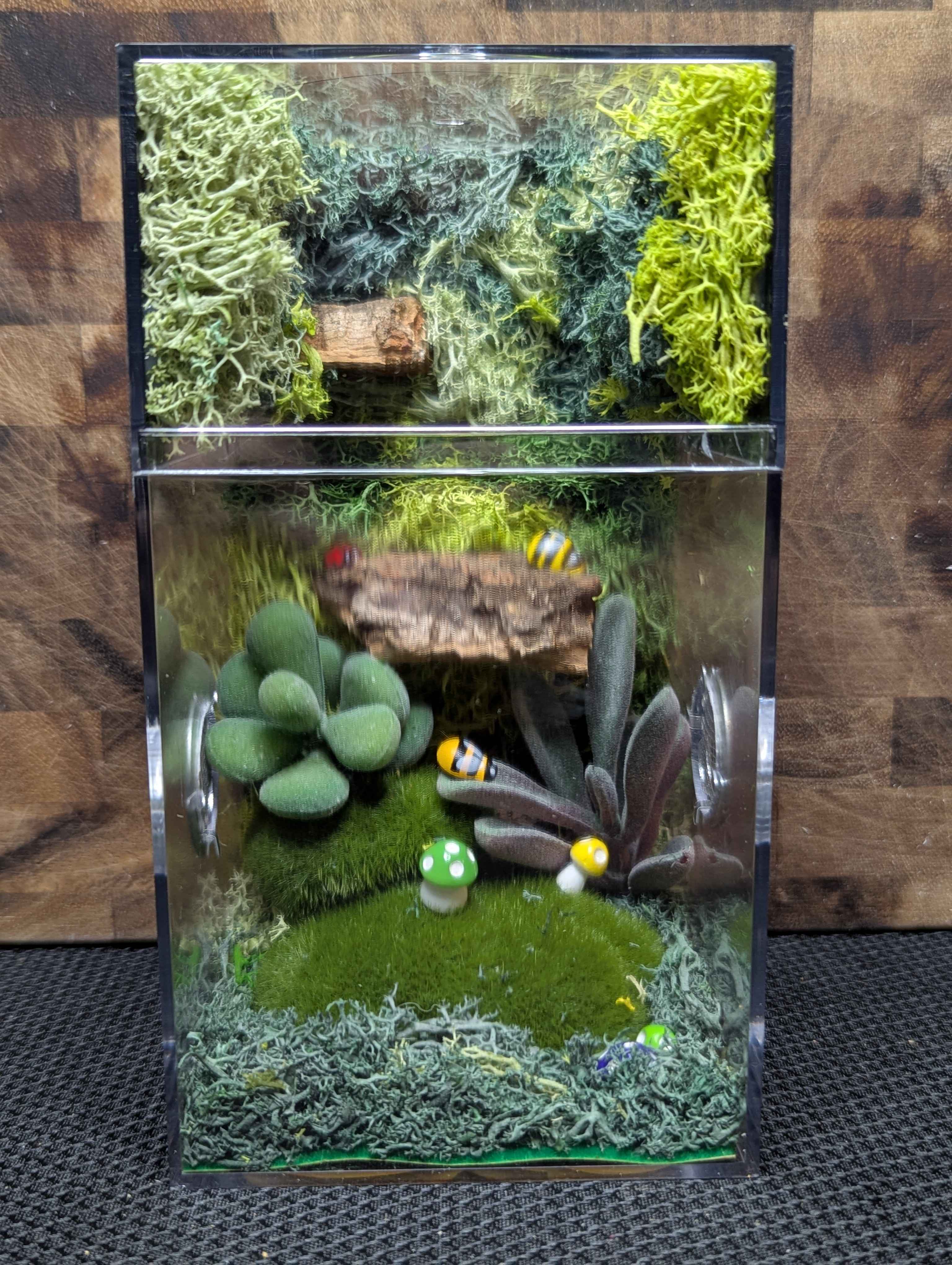 Custom Jumping Spider Enclosure