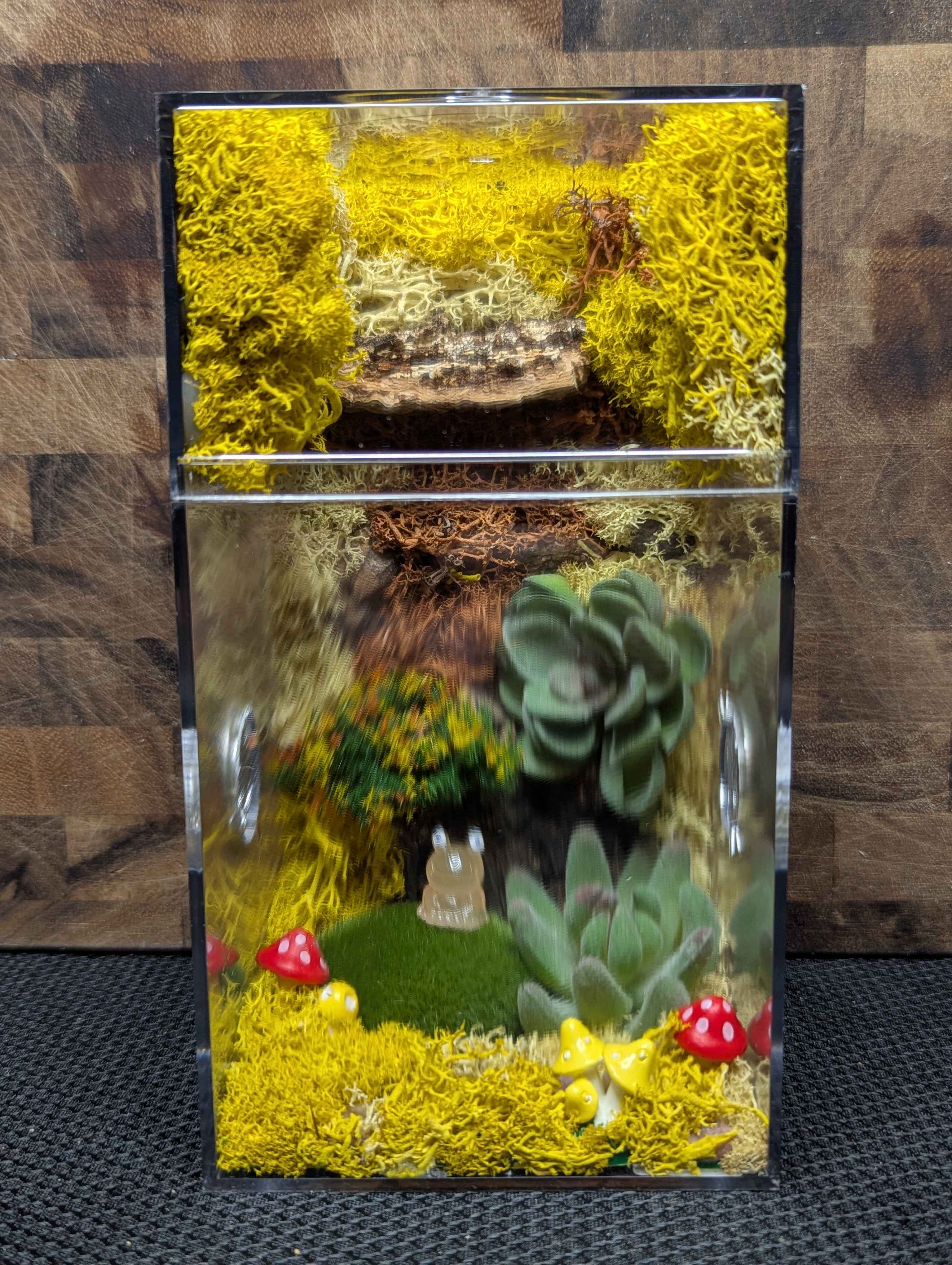 Custom Jumping Spider Enclosure
