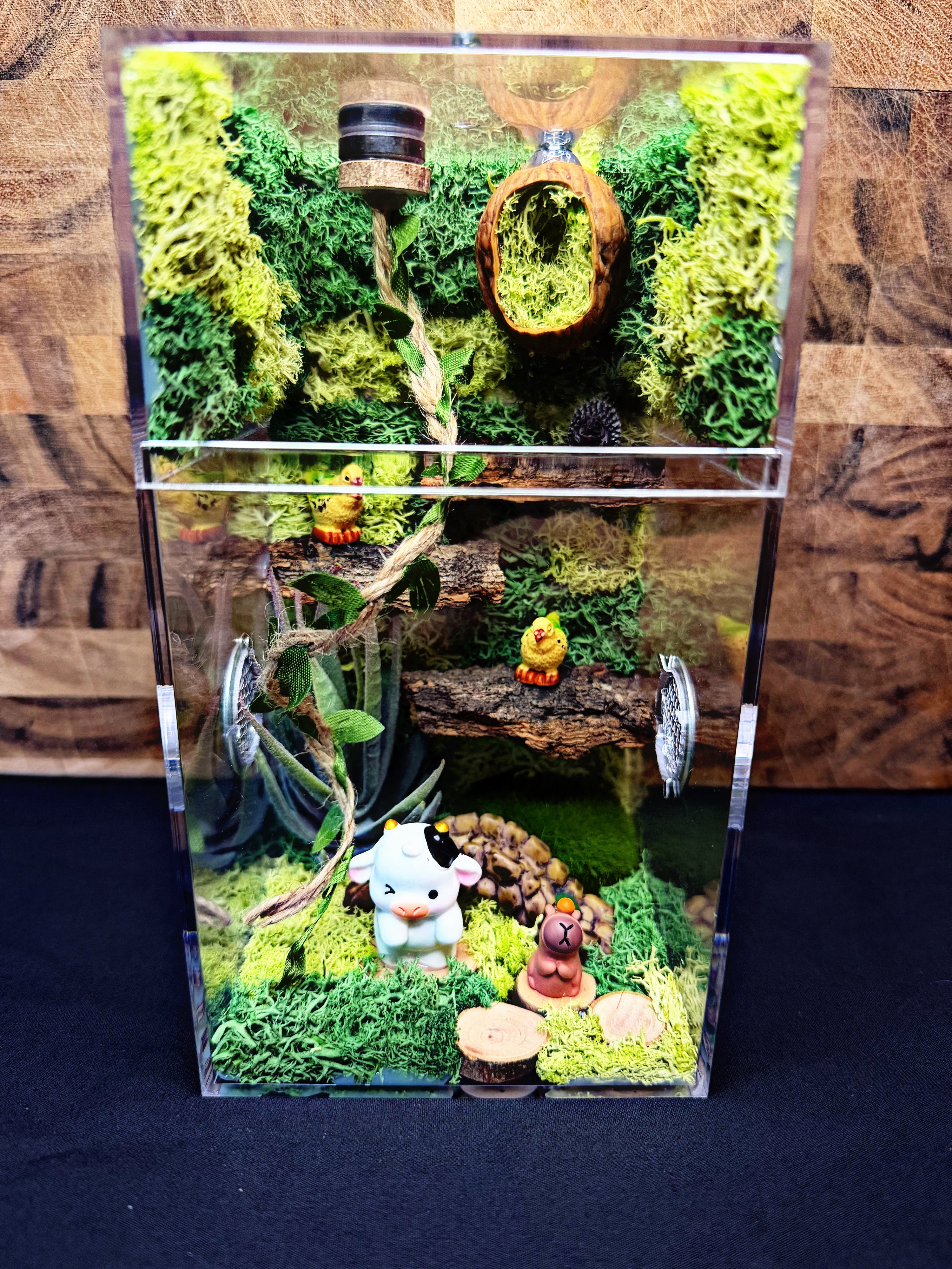 Custom Jumping Spider Enclosure