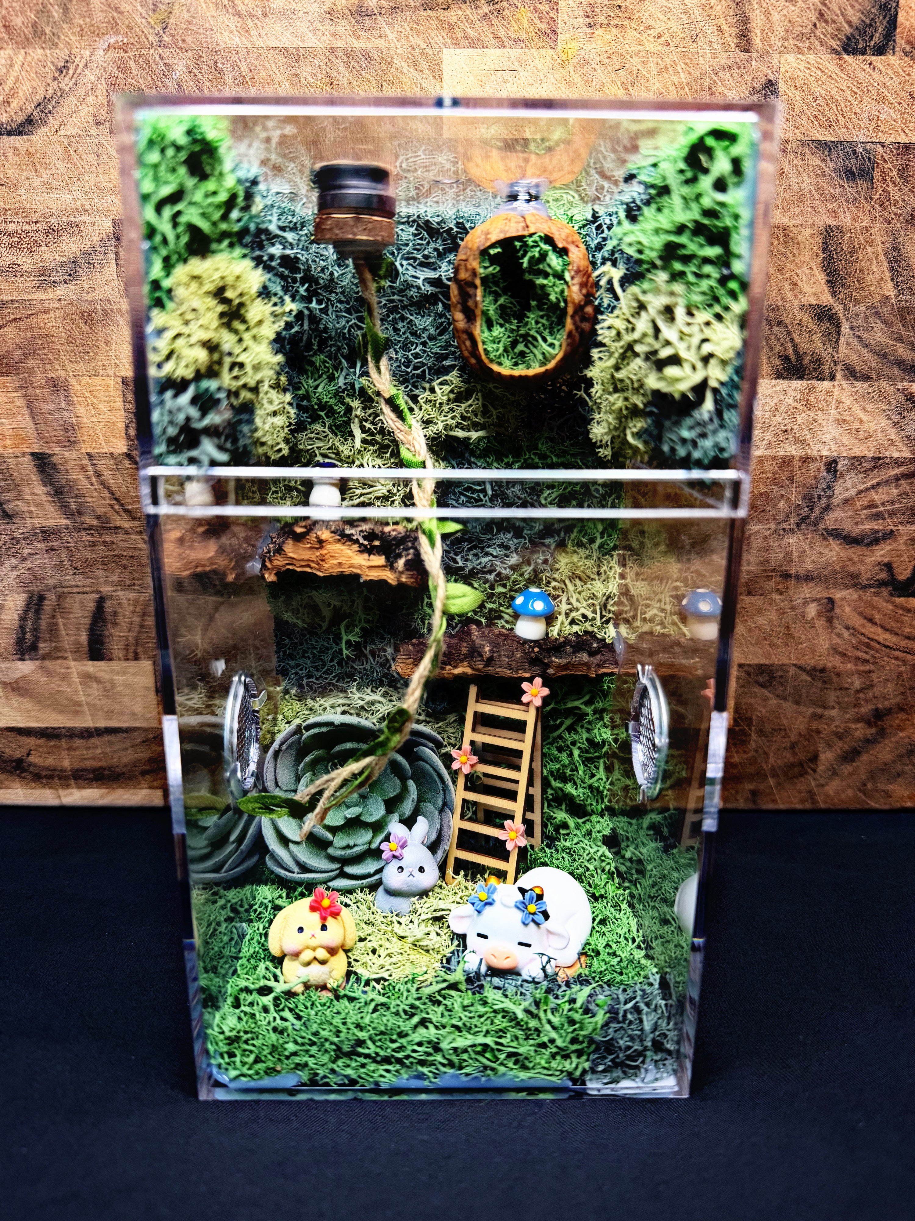 Custom Jumping Spider Enclosure