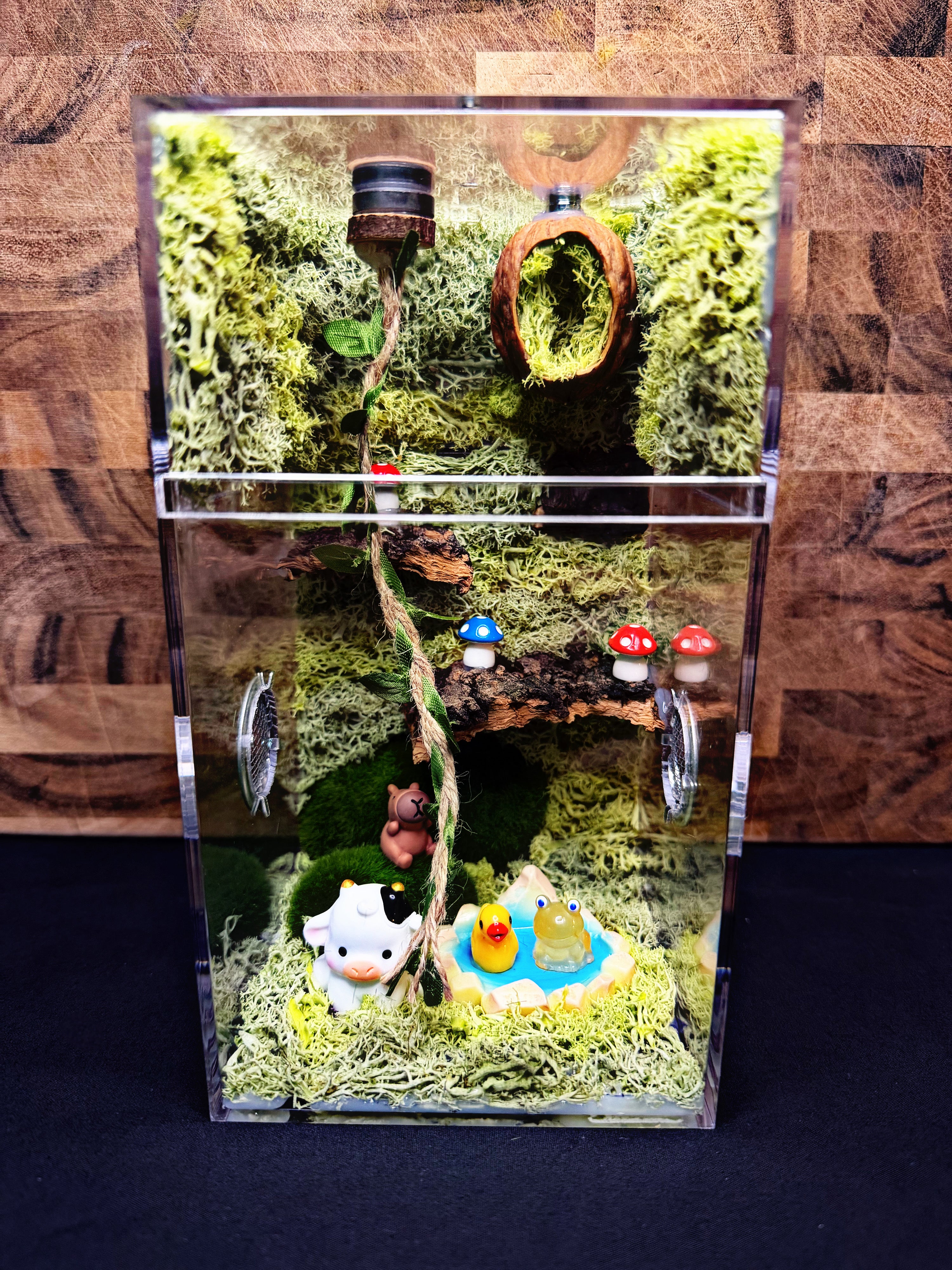 Custom Jumping Spider Enclosure