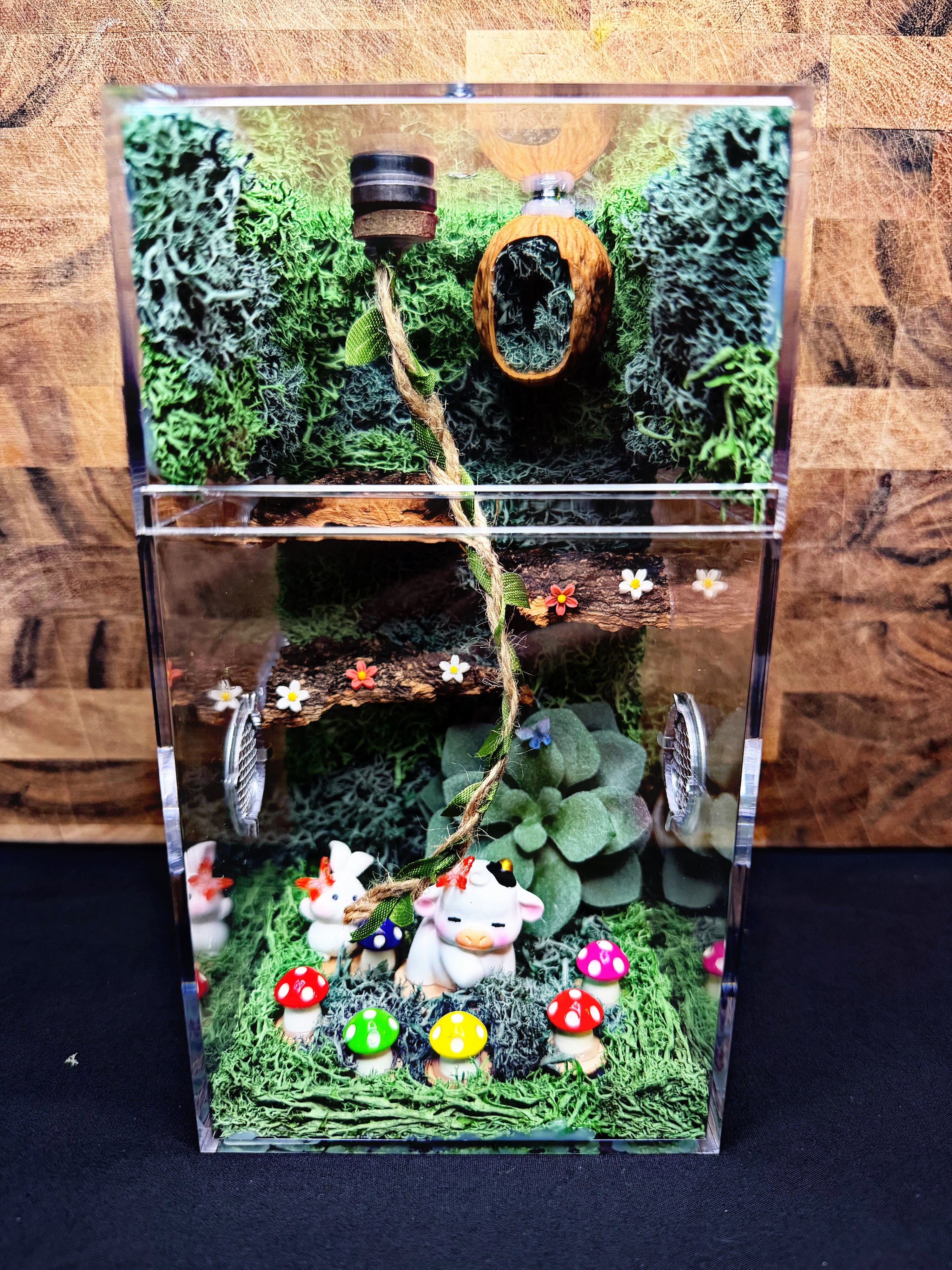 Custom Jumping Spider Enclosure