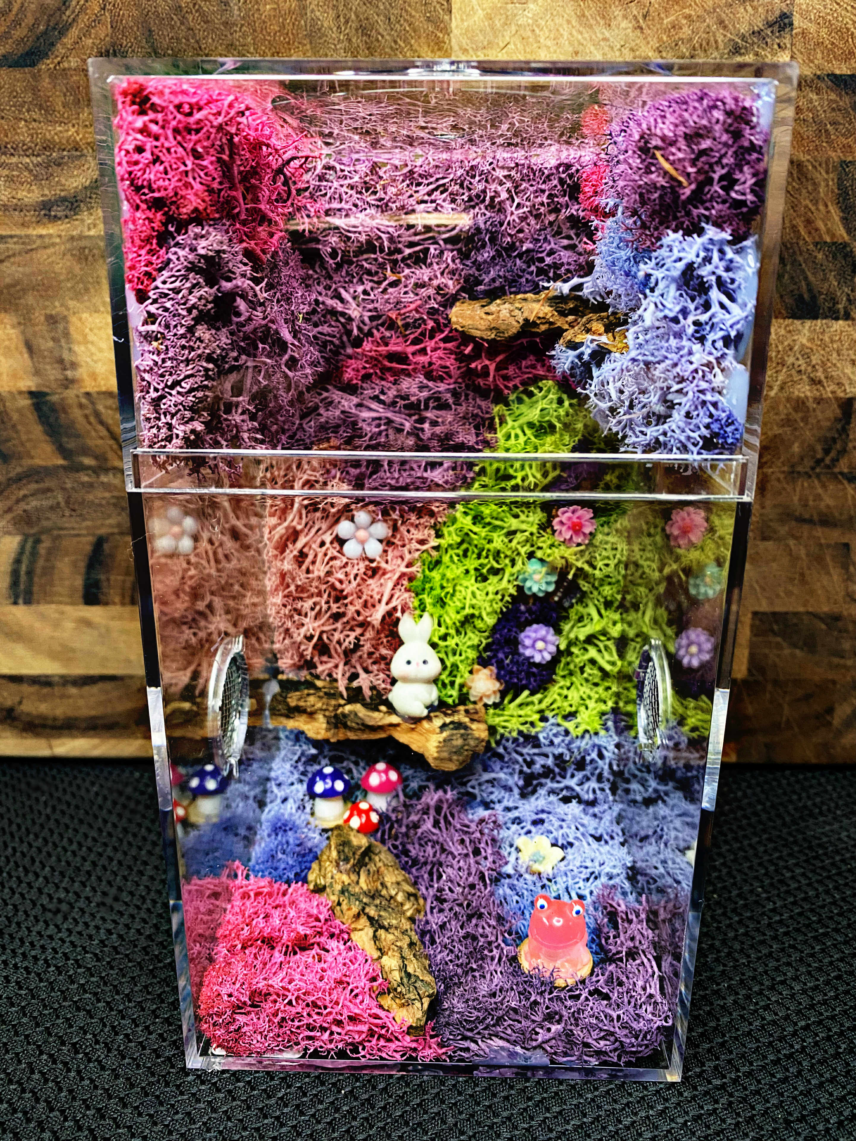 Custom Jumping Spider Enclosure