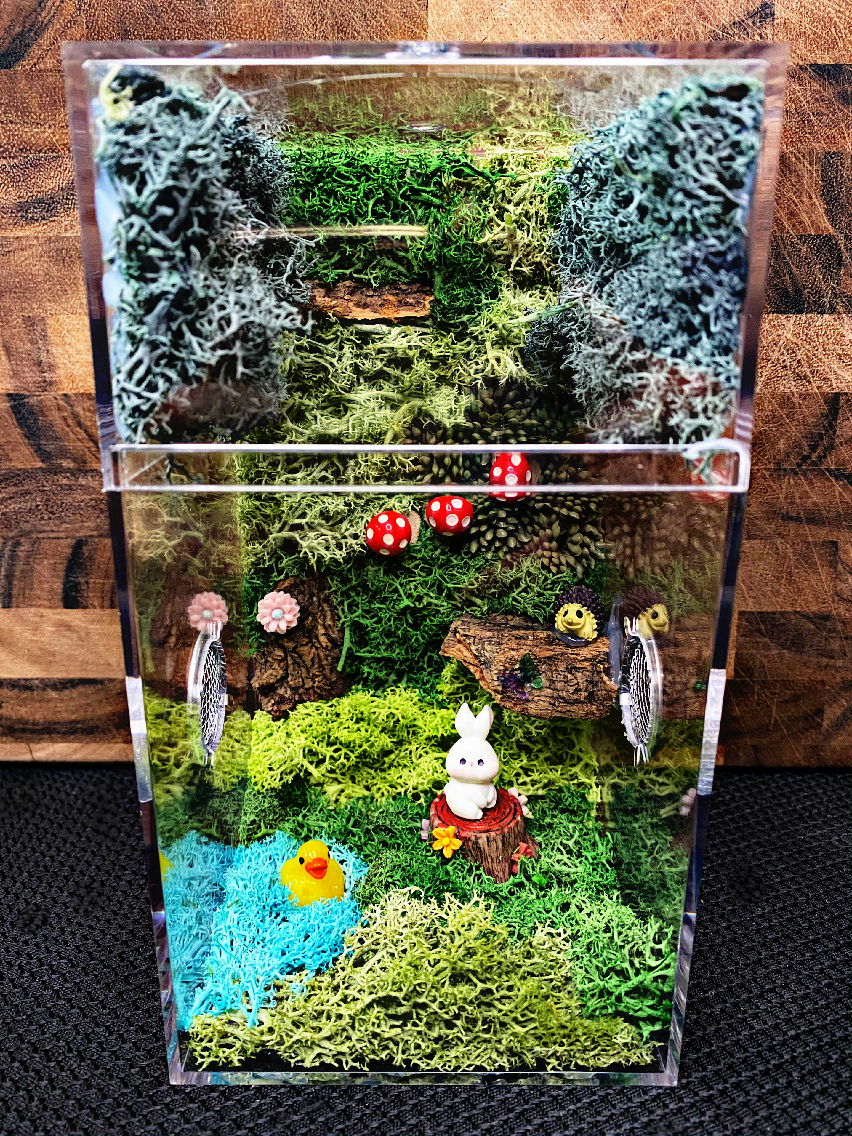Custom Jumping Spider Enclosure