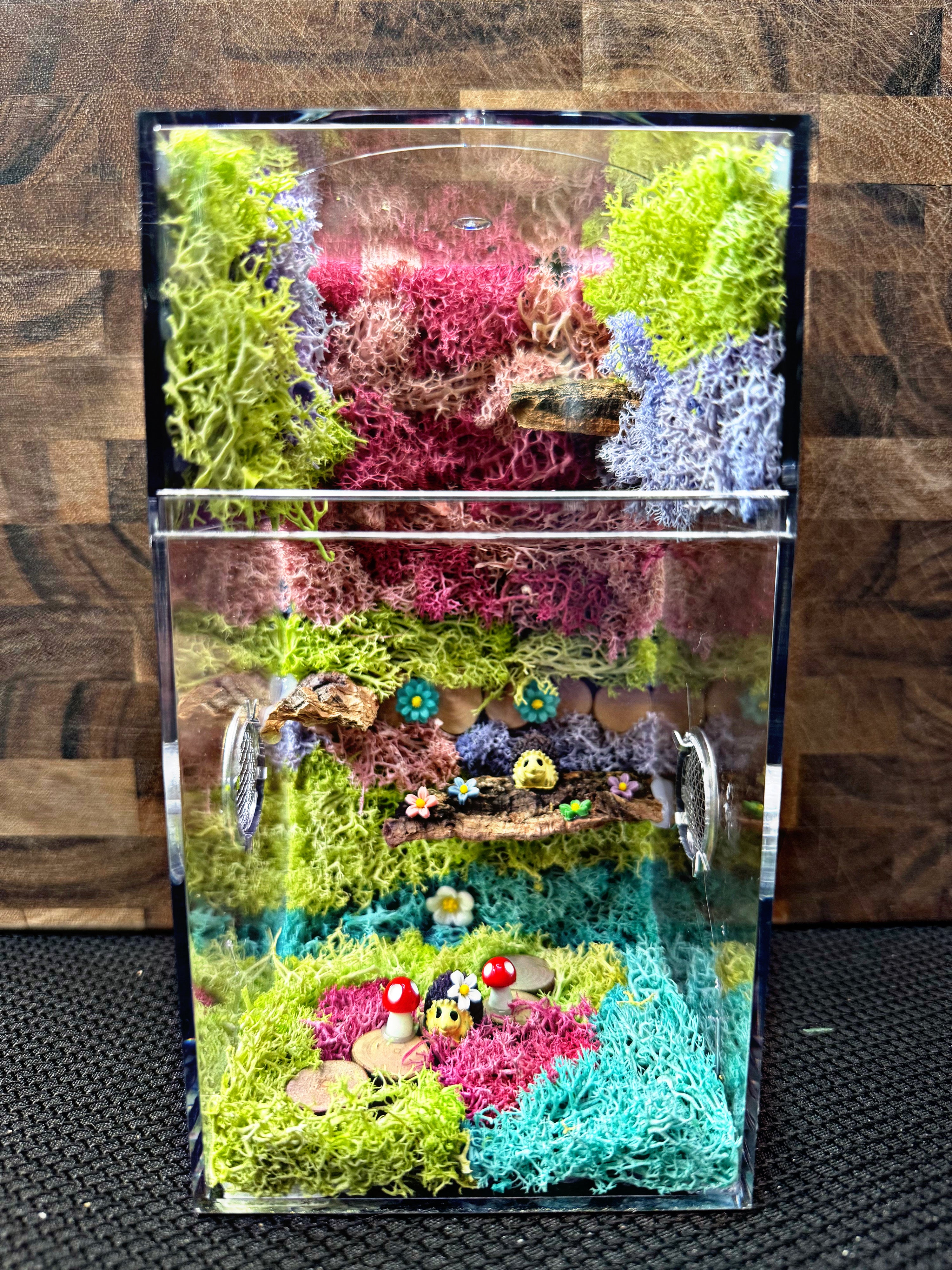 Custom Jumping Spider Enclosure