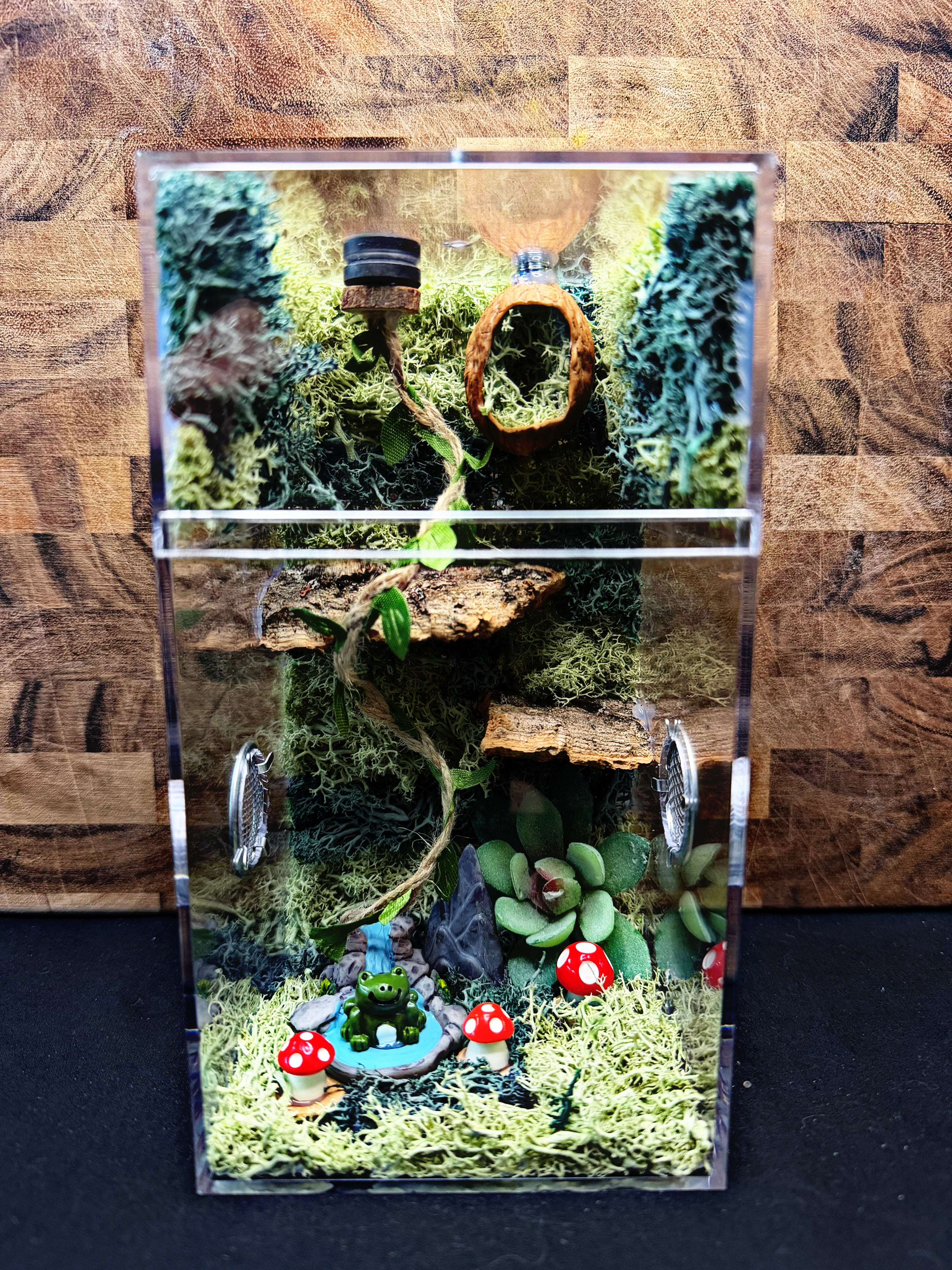 Custom Jumping Spider Enclosure