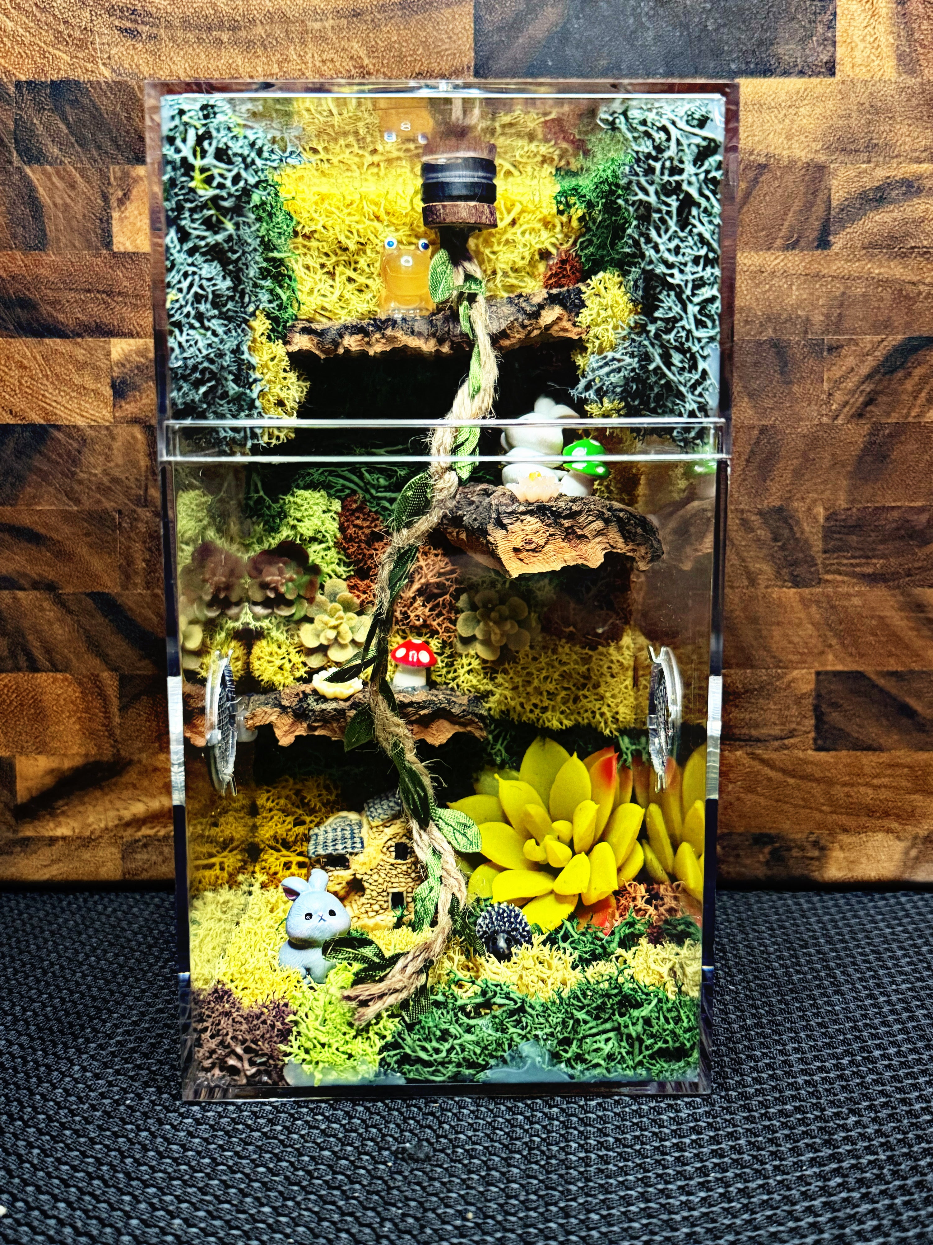 Custom Jumping Spider Enclosure