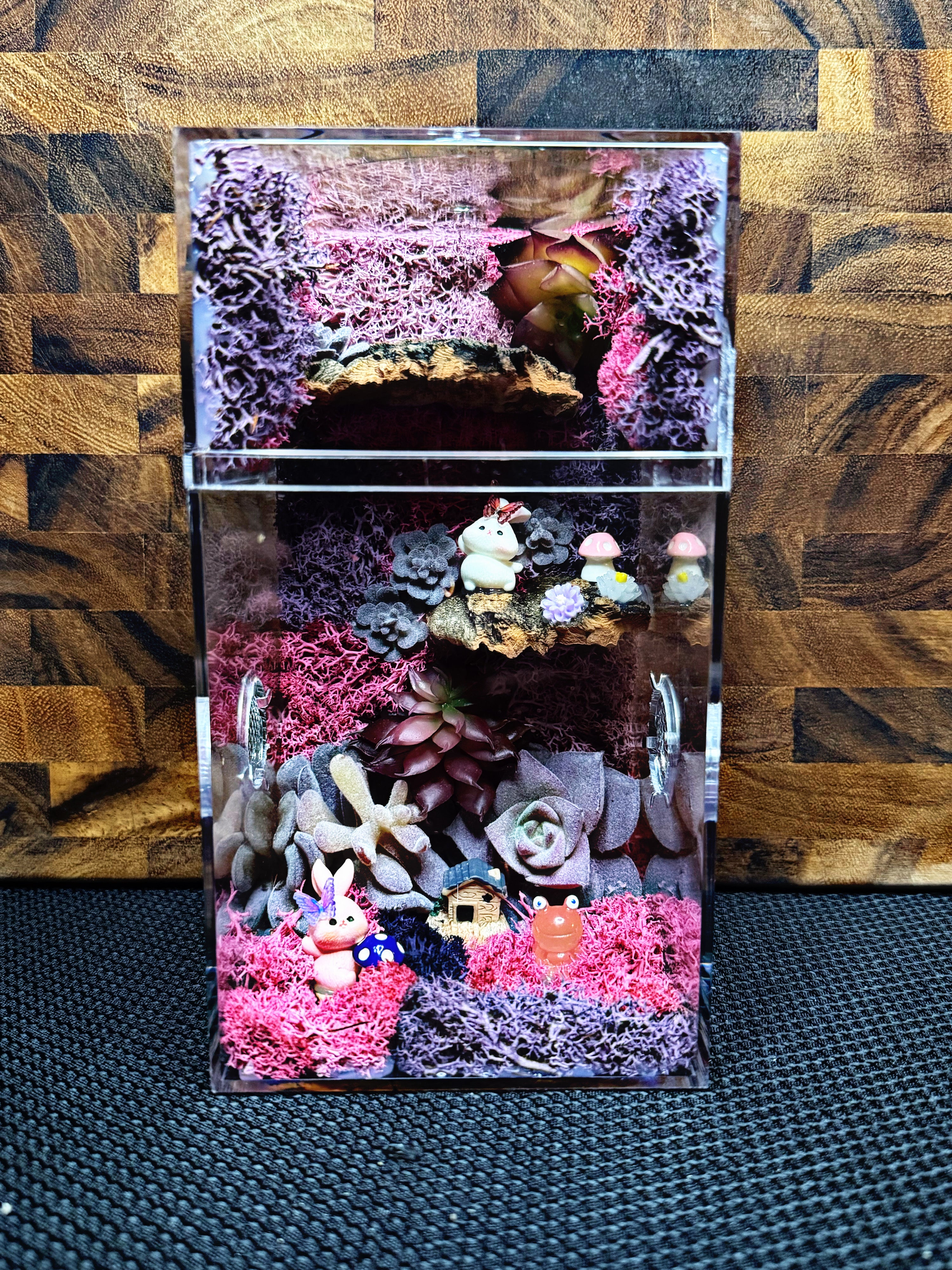 Custom Jumping Spider Enclosure