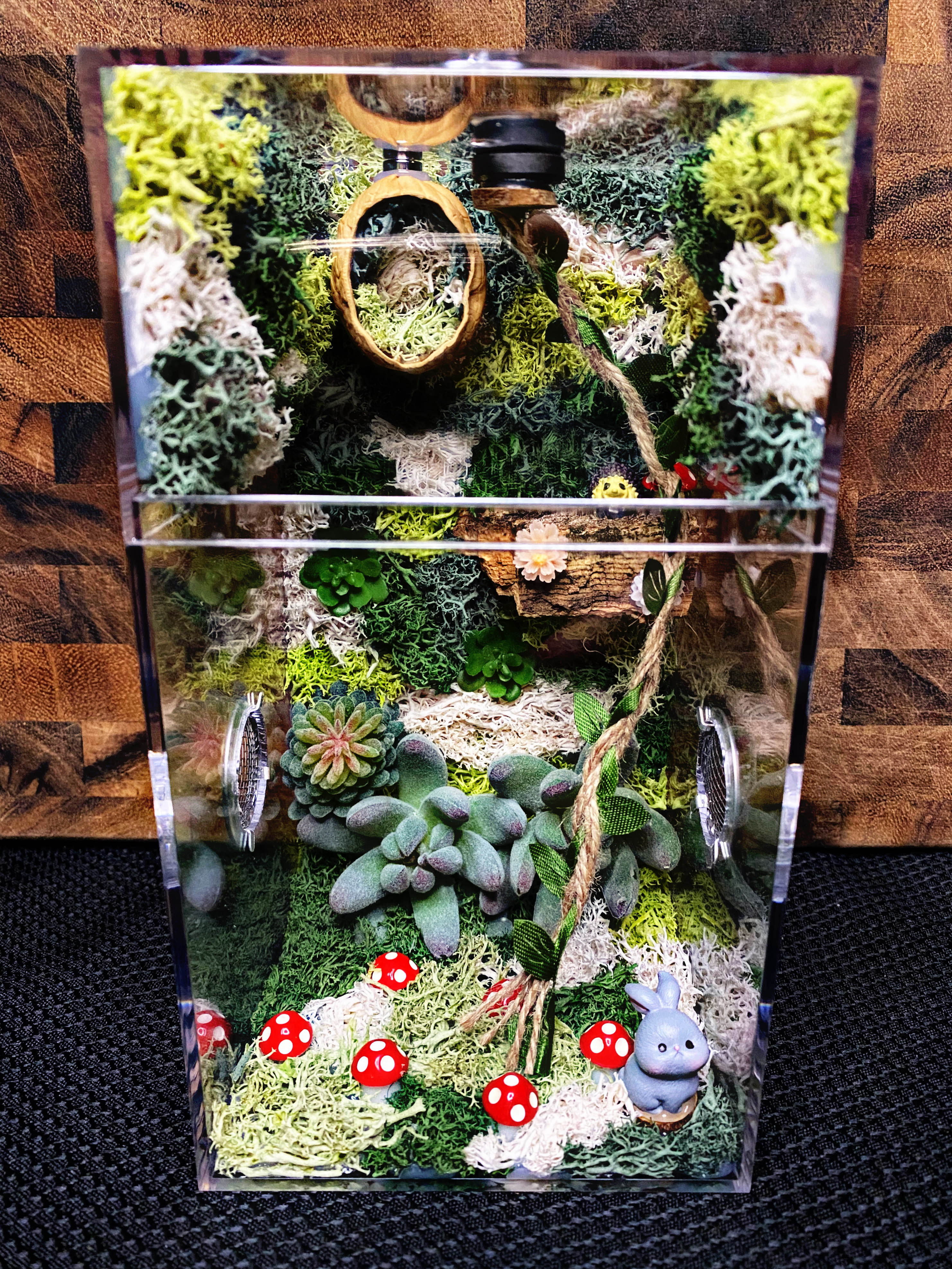 Custom Jumping Spider Enclosure