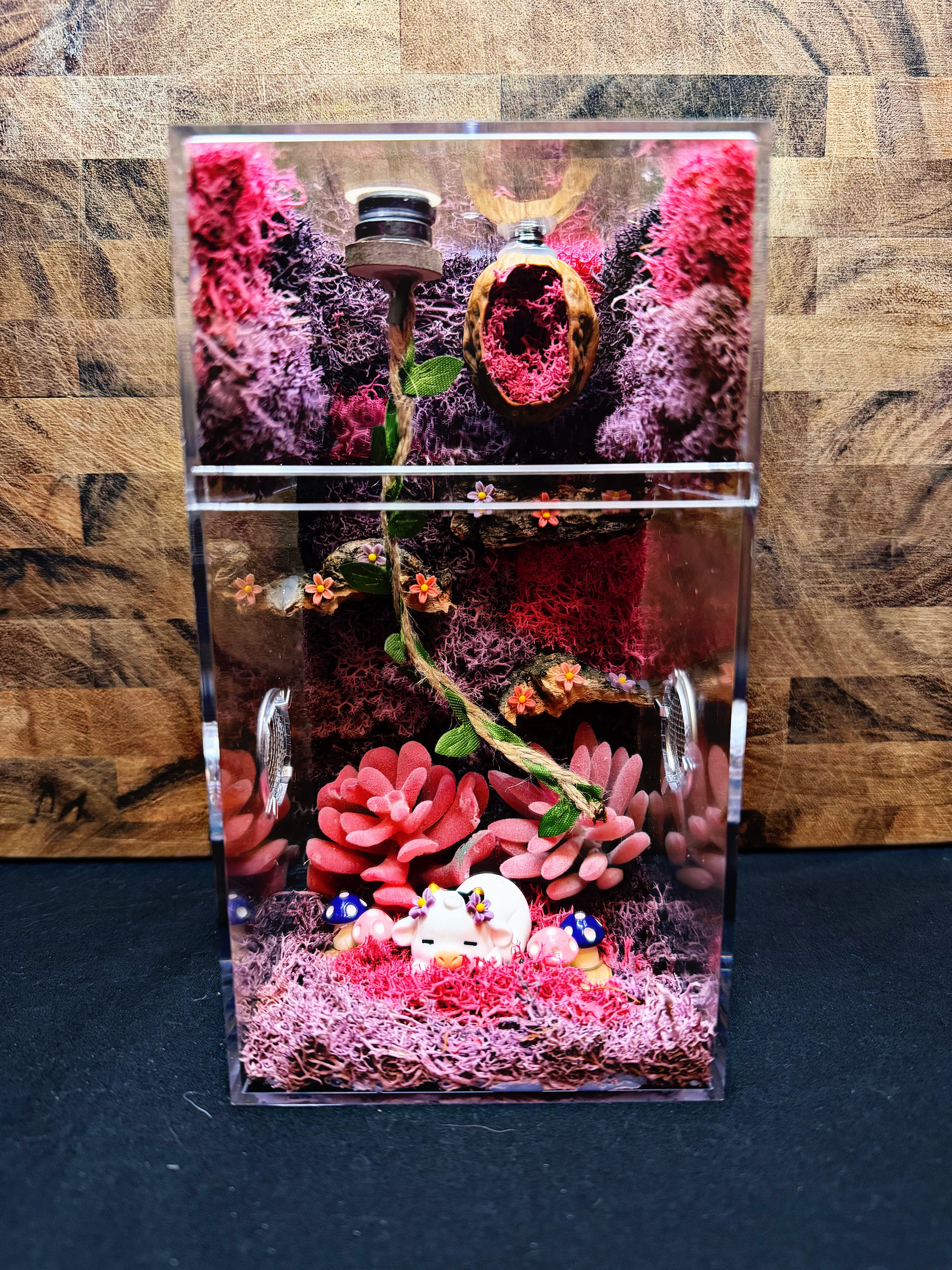 Custom Jumping Spider Enclosure