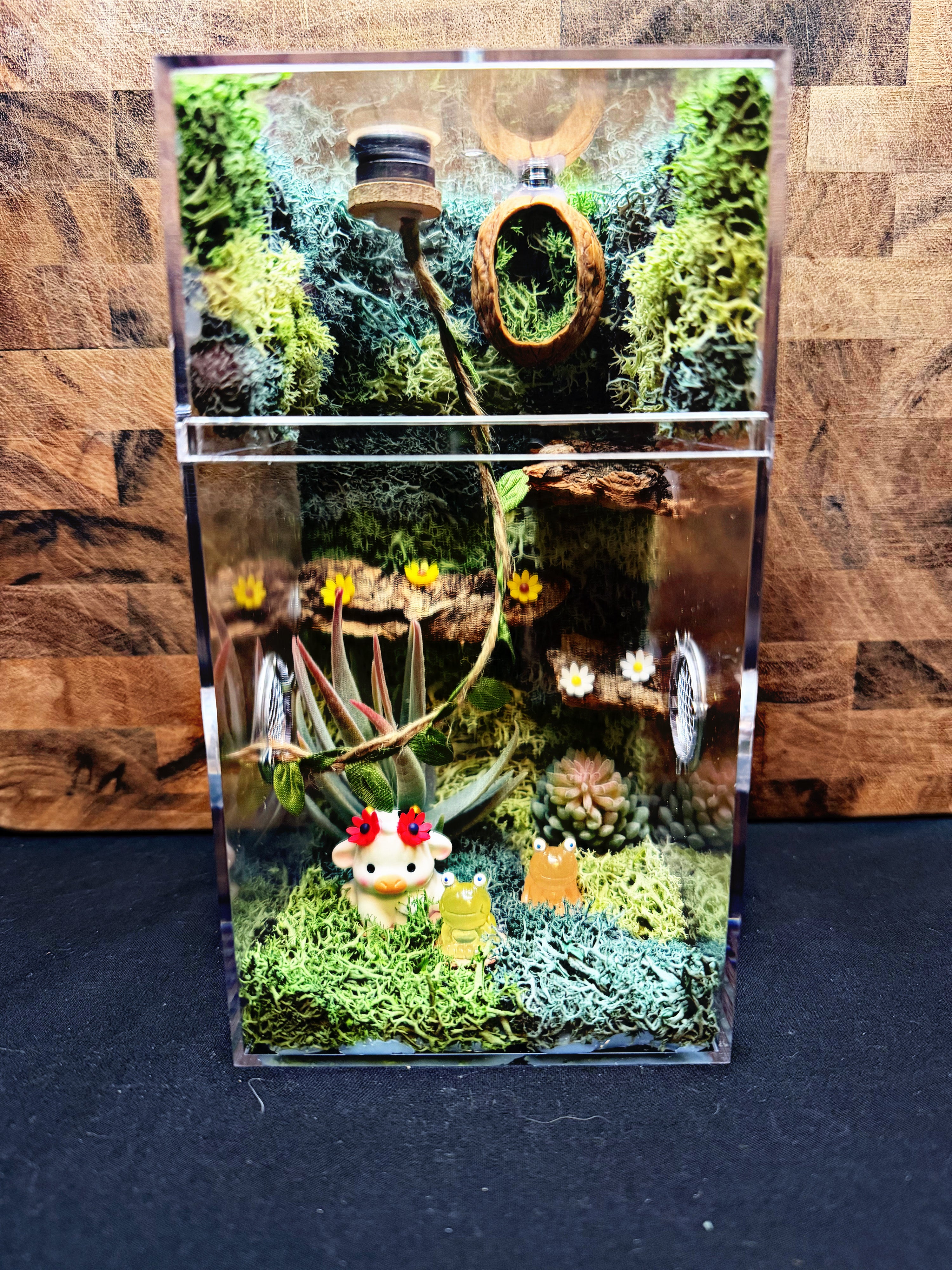 Custom Jumping Spider Enclosure