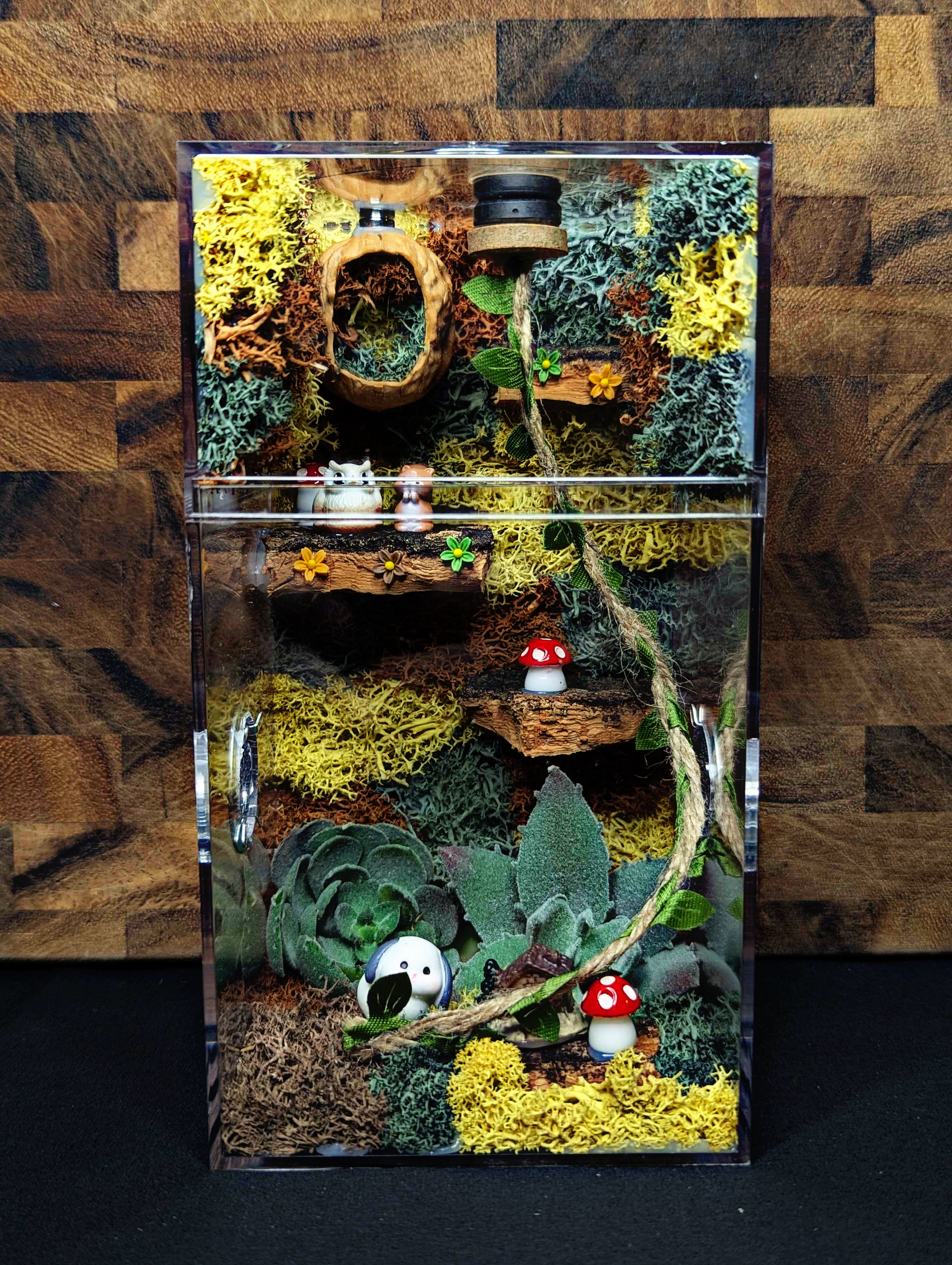 Custom Jumping Spider Enclosure