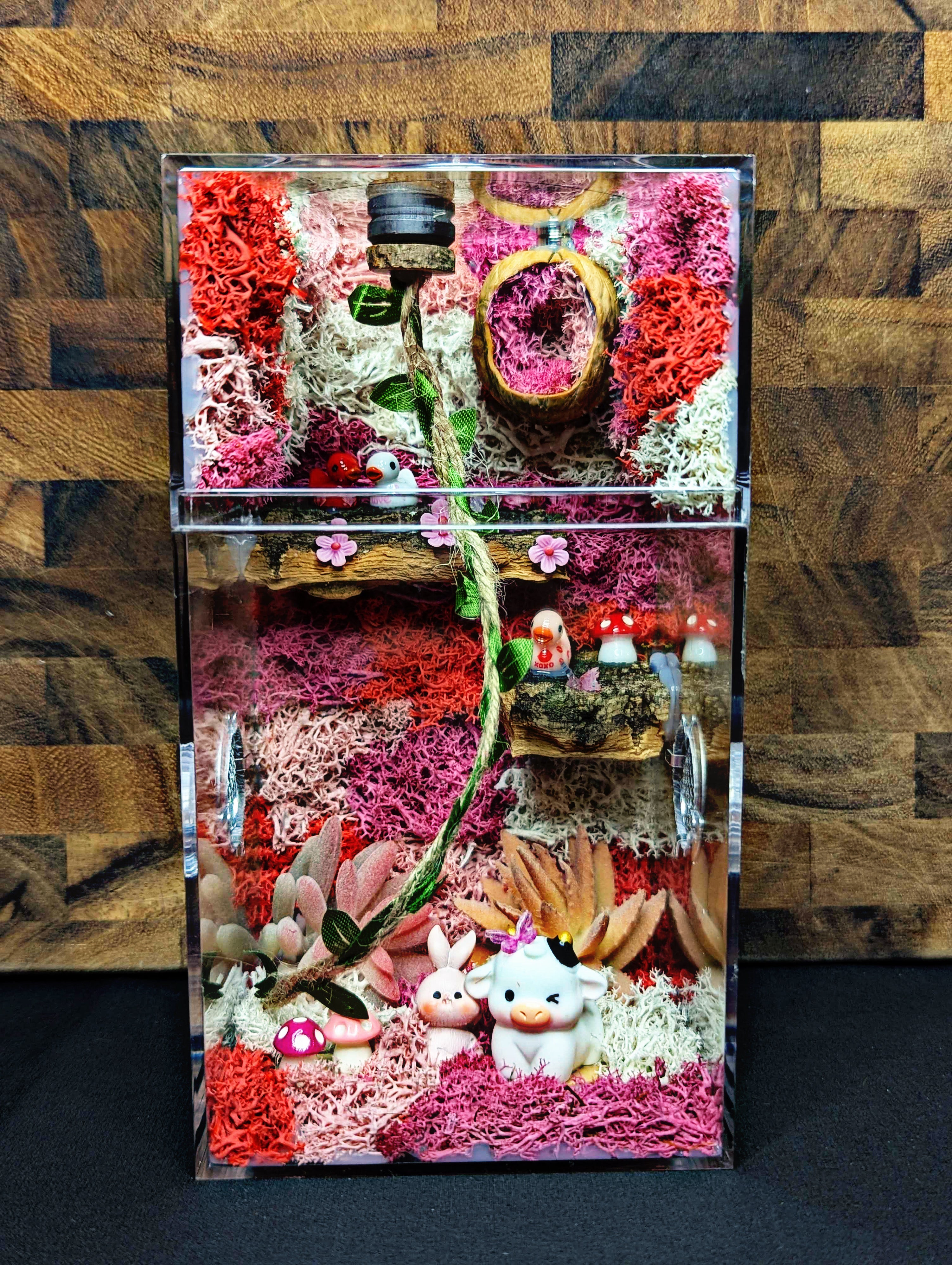 Custom Jumping Spider Enclosure