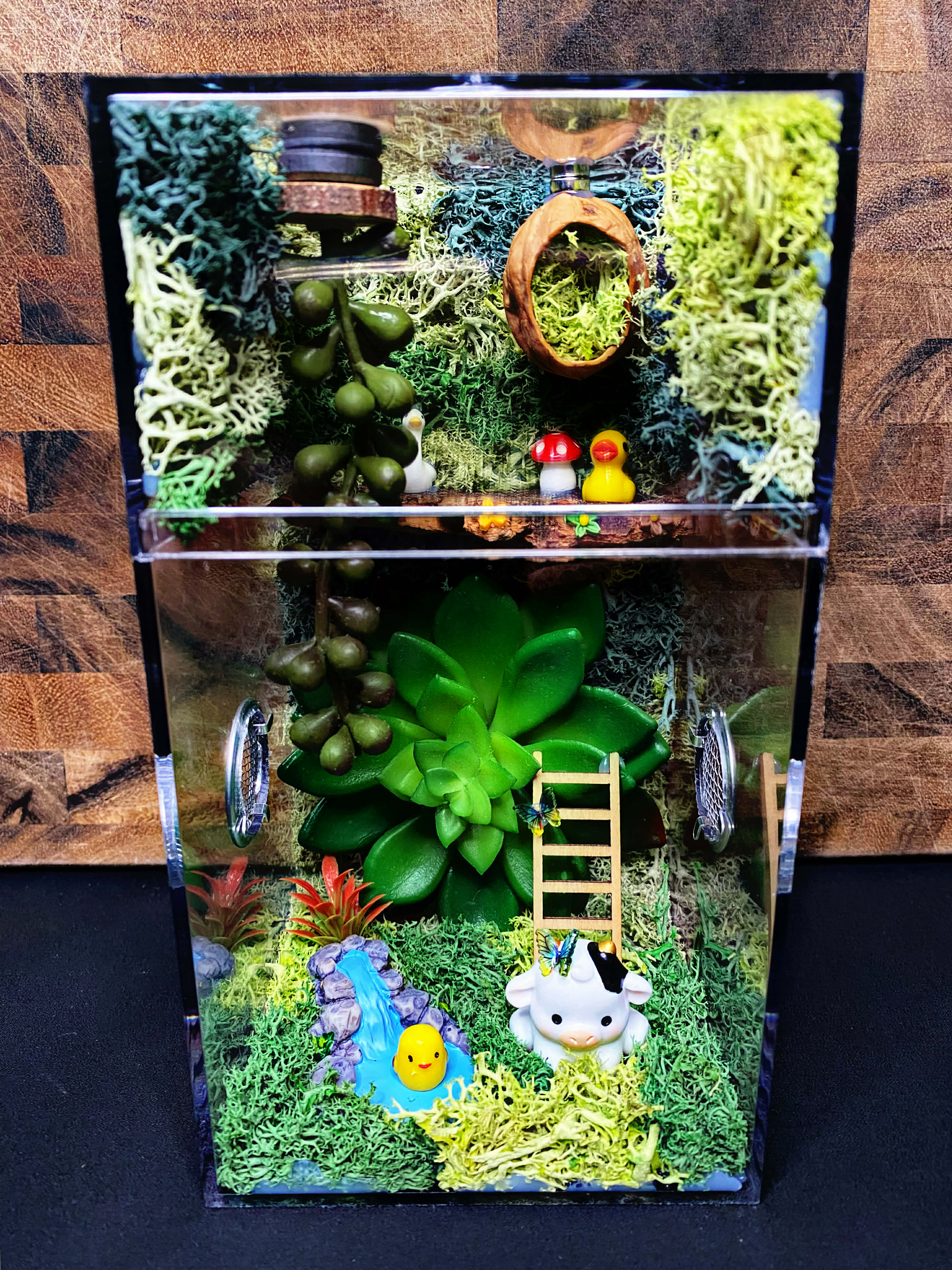 Custom Jumping Spider Enclosure