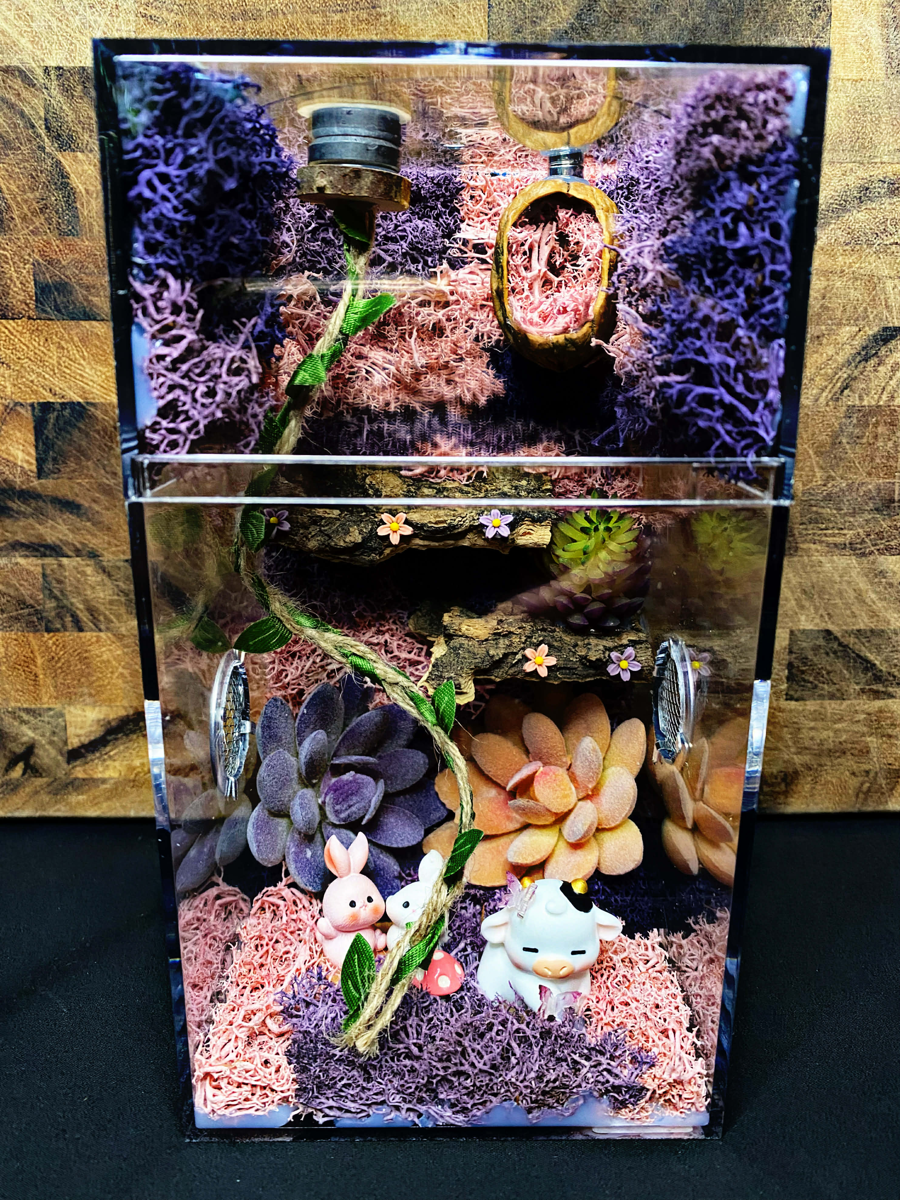 IMG-7583.jpg?v=1769887053&