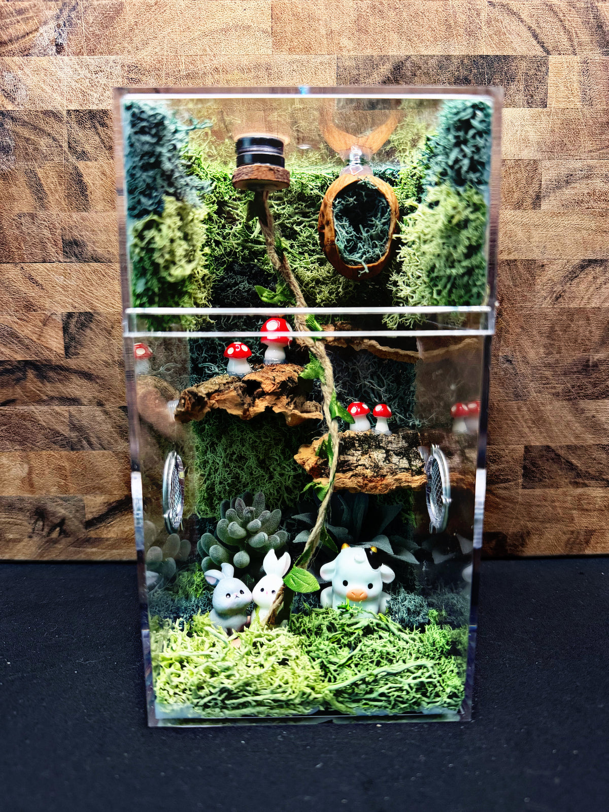 Custom Jumping Spider Enclosure