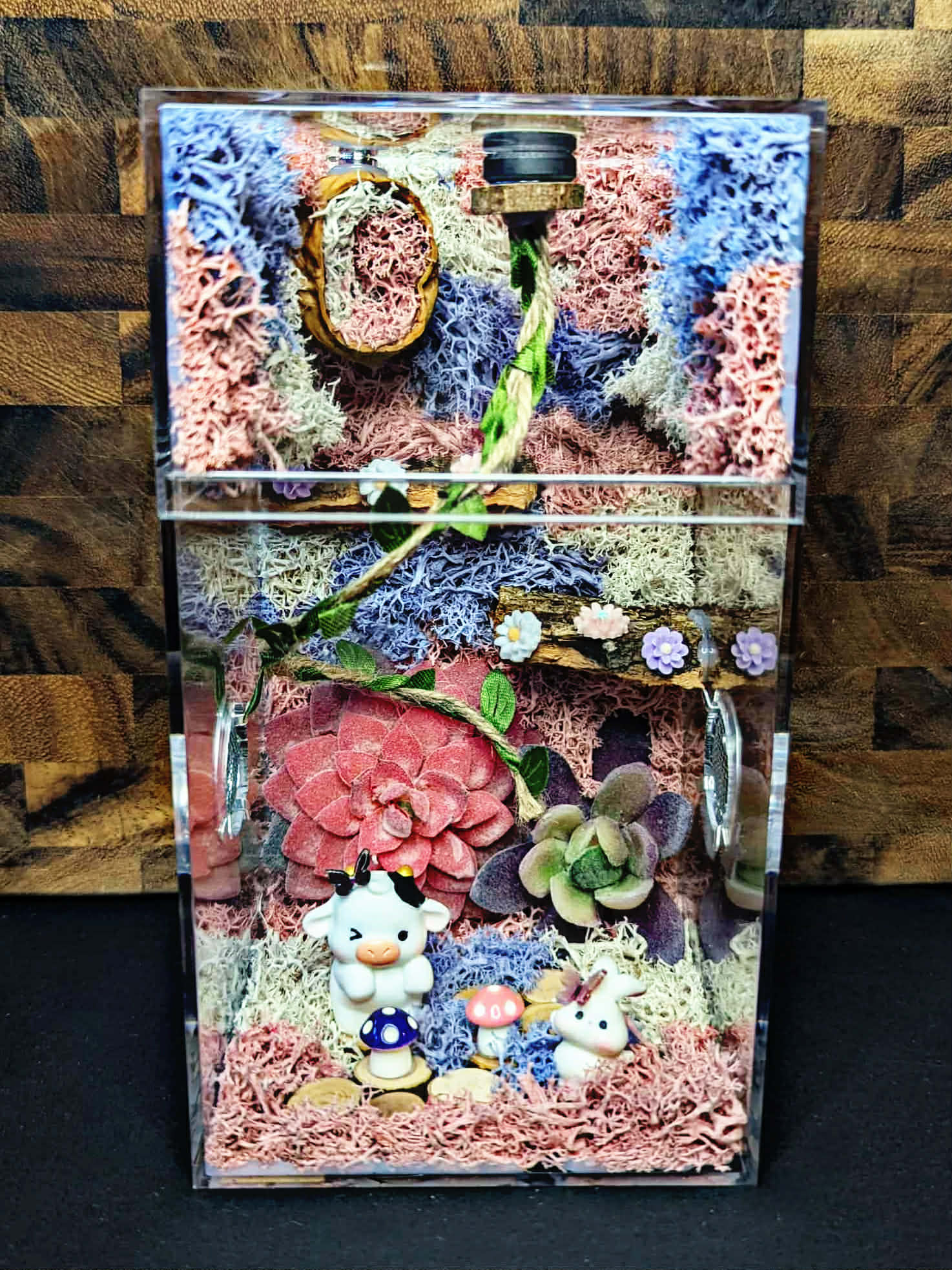 Custom Jumping Spider Enclosure