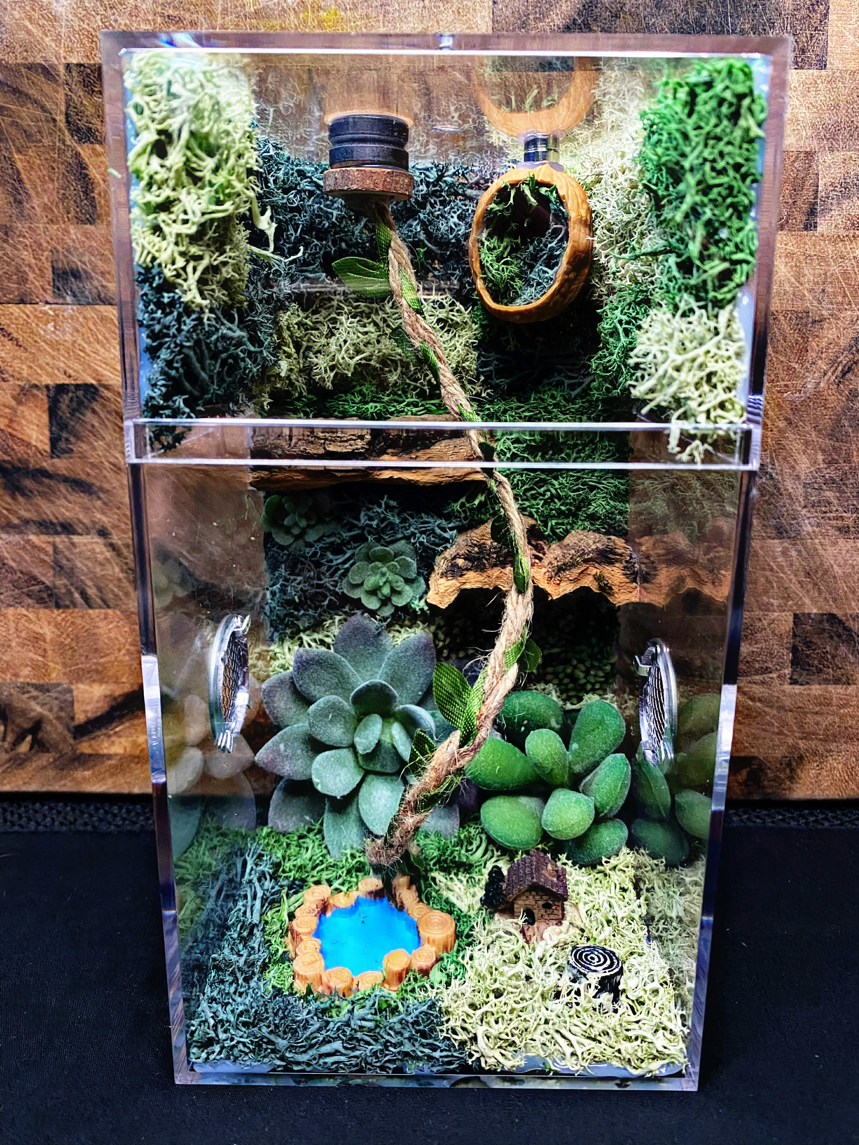 Custom Jumping Spider Enclosure