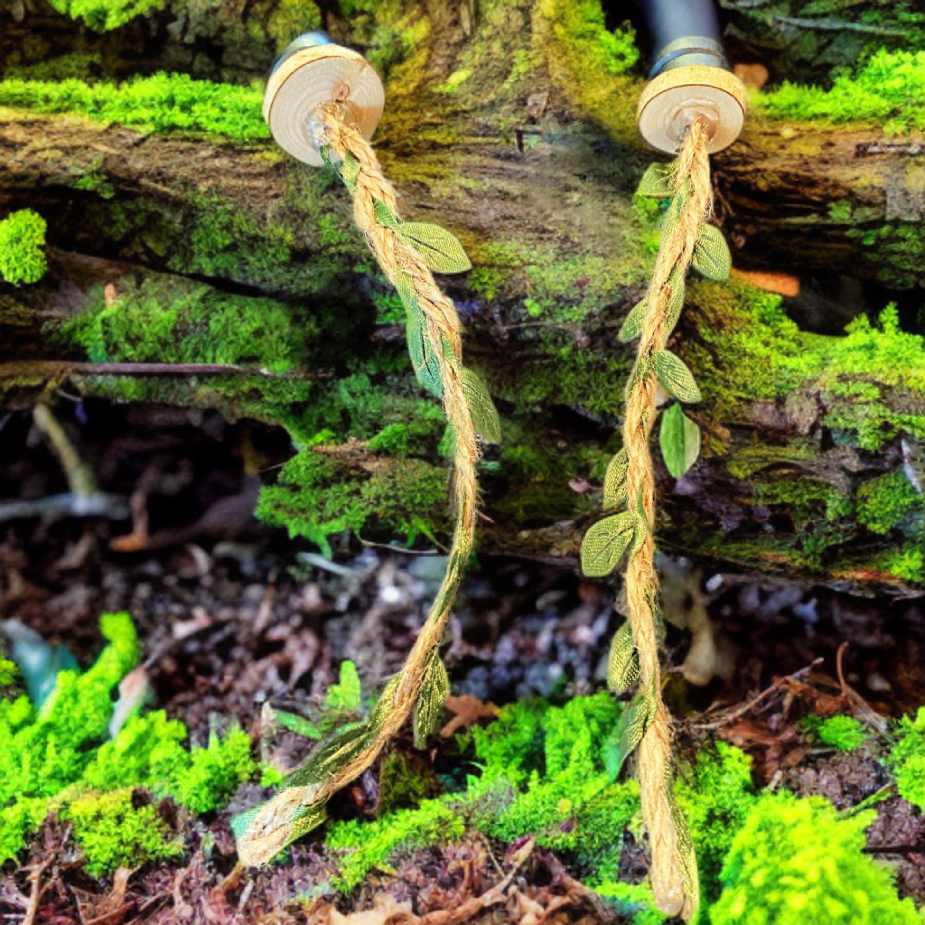 Enchanted Forest Spider Vine