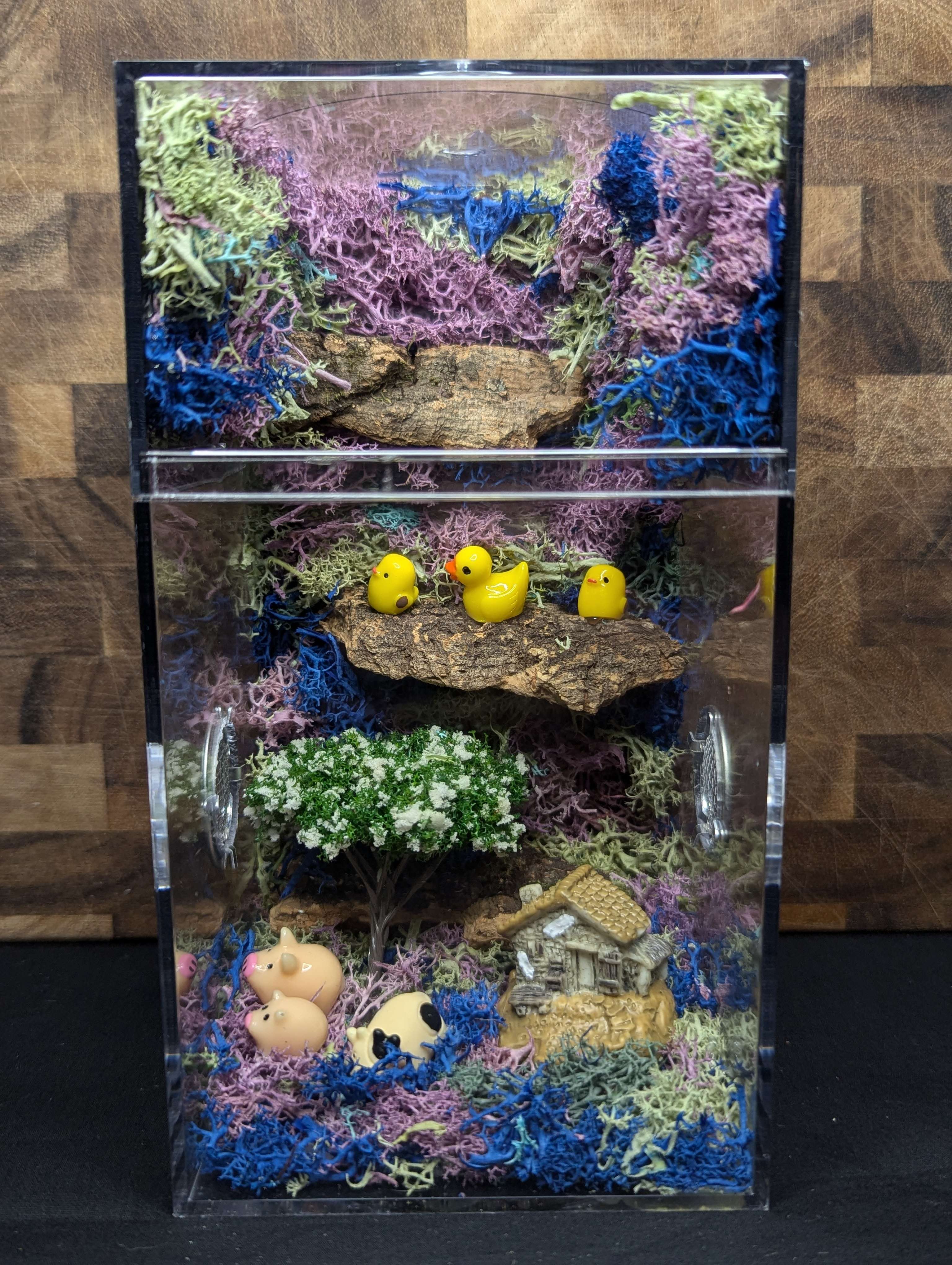 ~Fairy Lights~ Custom Jumping Spider Enclosure