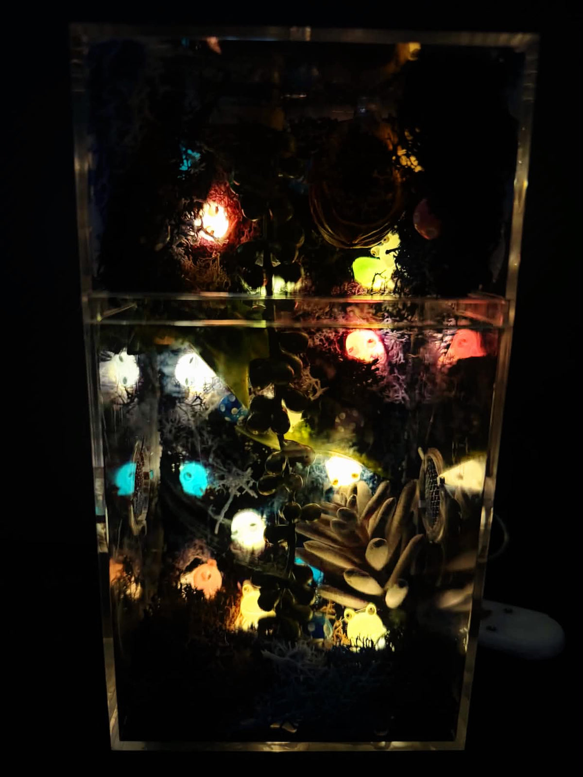 ~Fairy Lights~ Custom Jumping Spider Enclosure